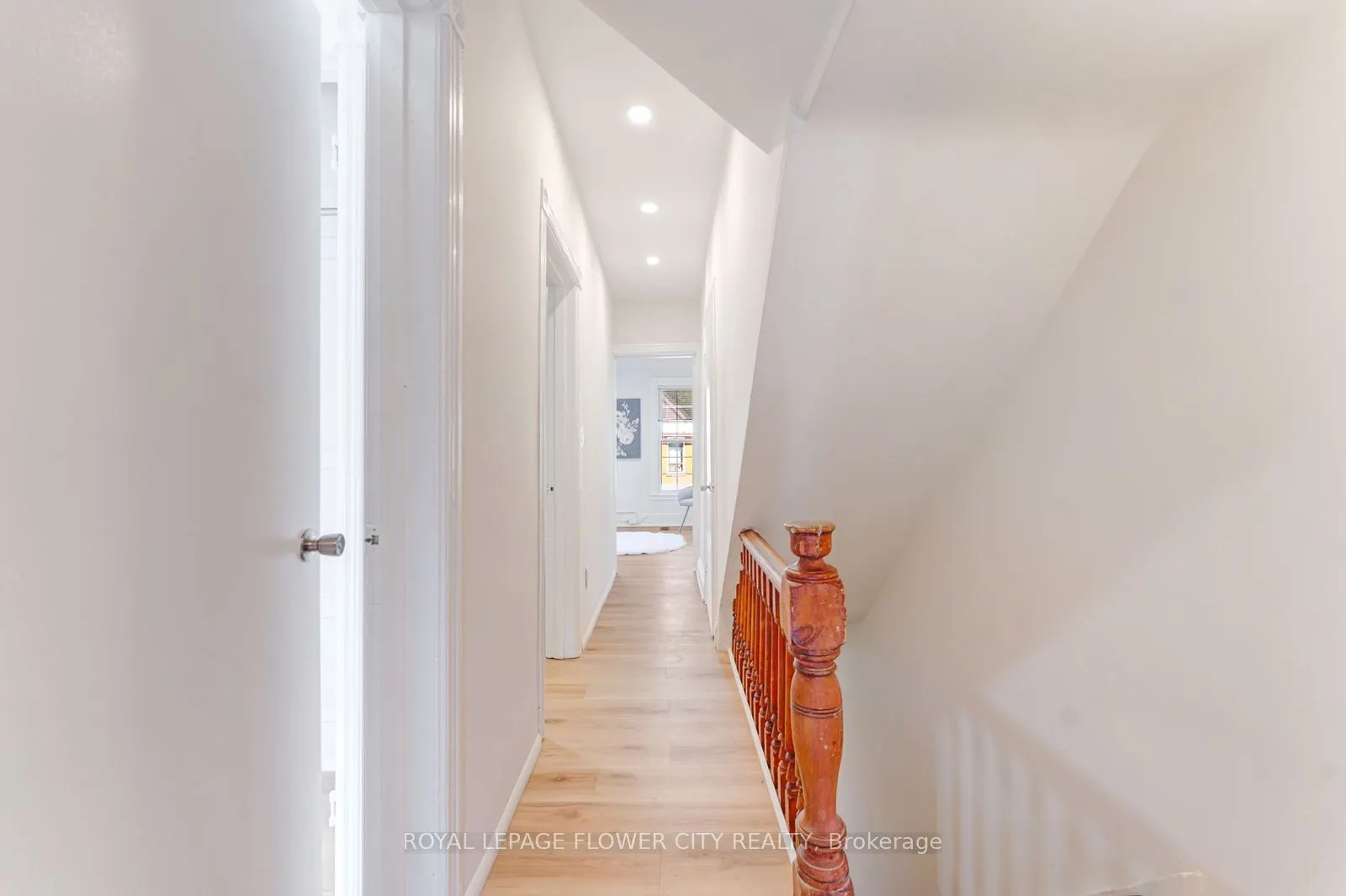 11 Mcneil Street