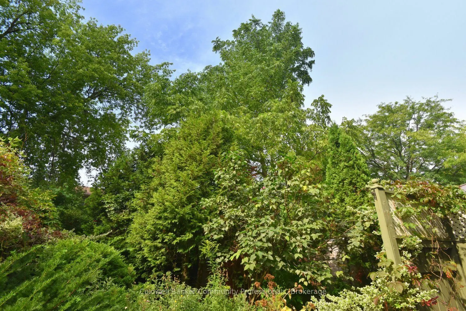 81 Aylmer Crescent