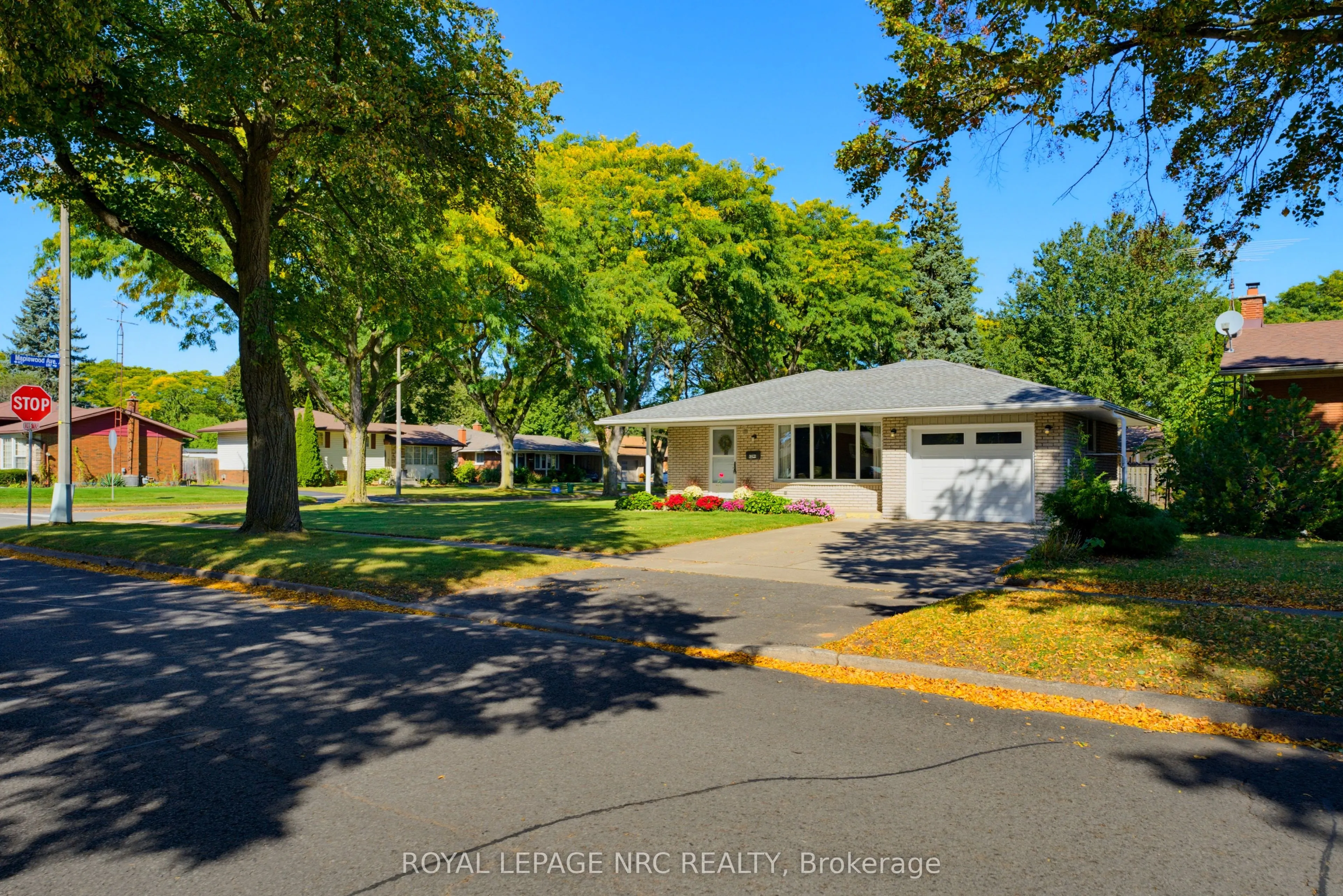 6395 Glengate Street