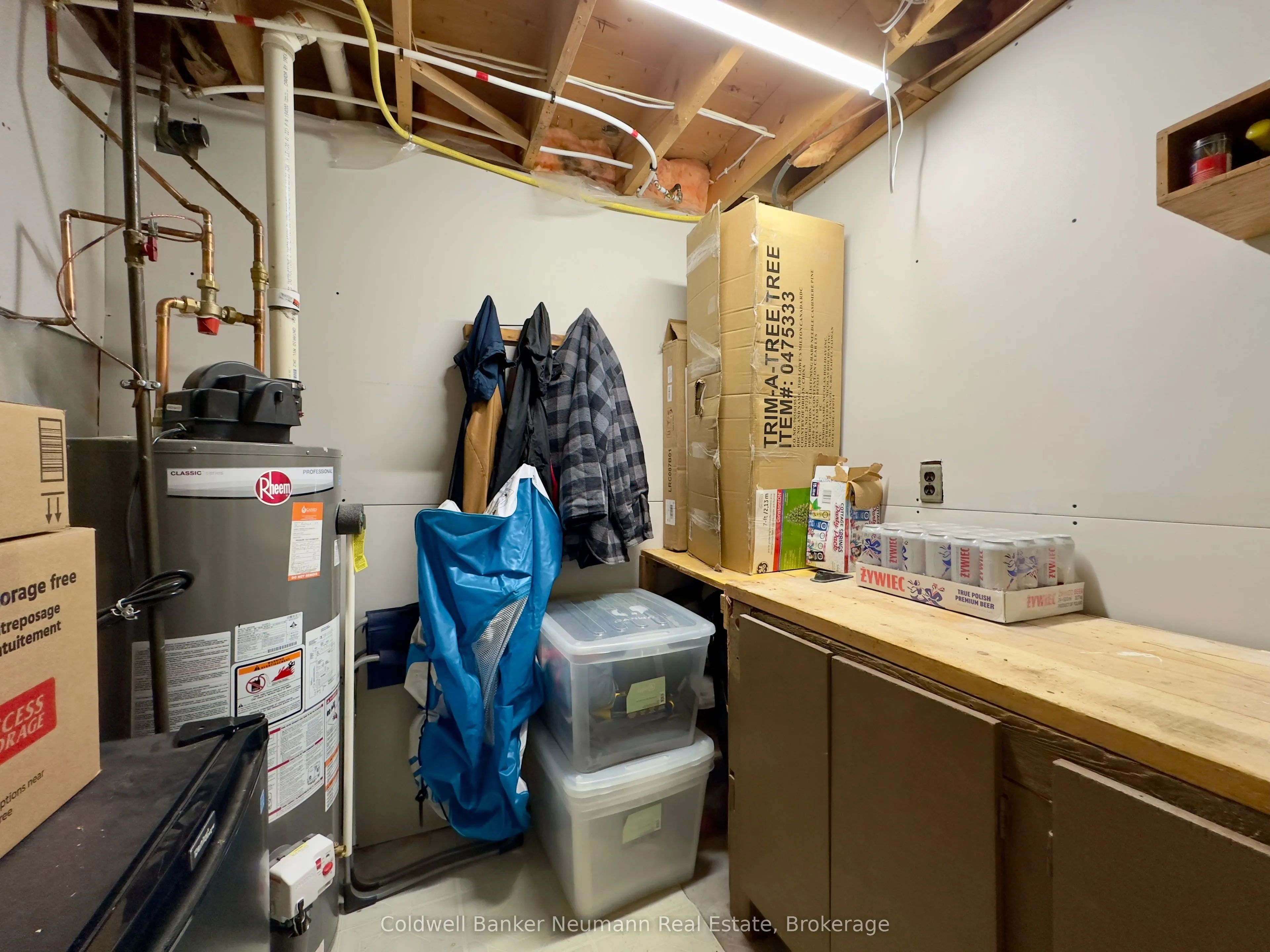 52 Renfield Street #LOWER