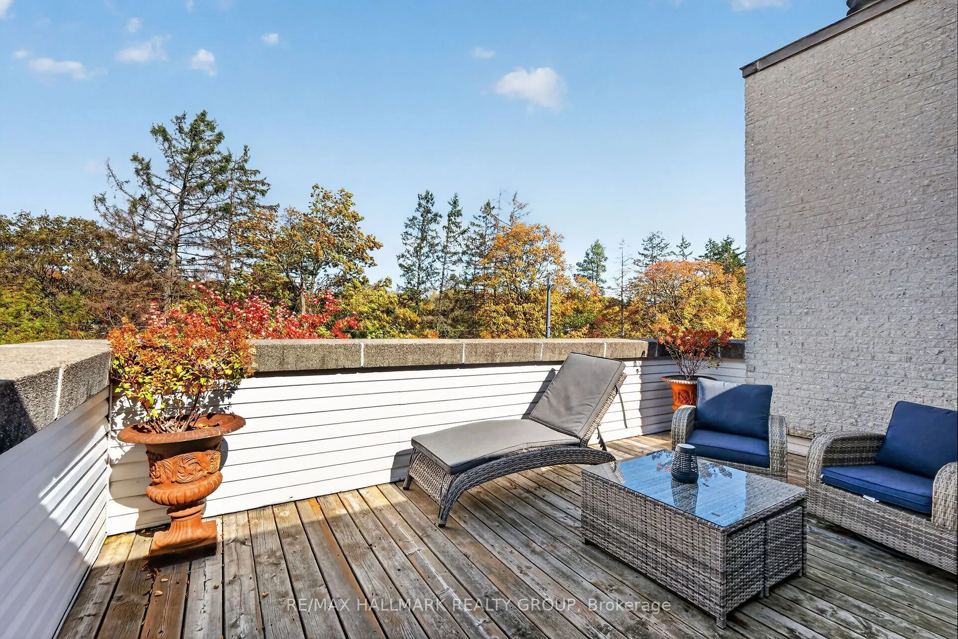 121 Mackay Street #2