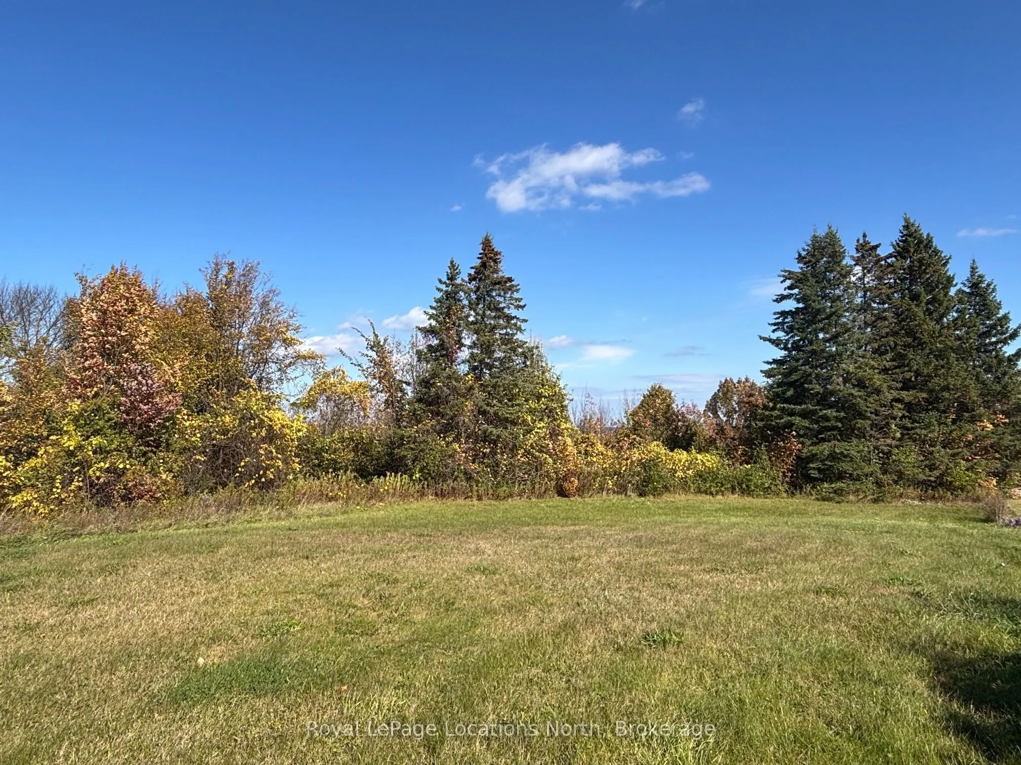 135 Scotia Drive