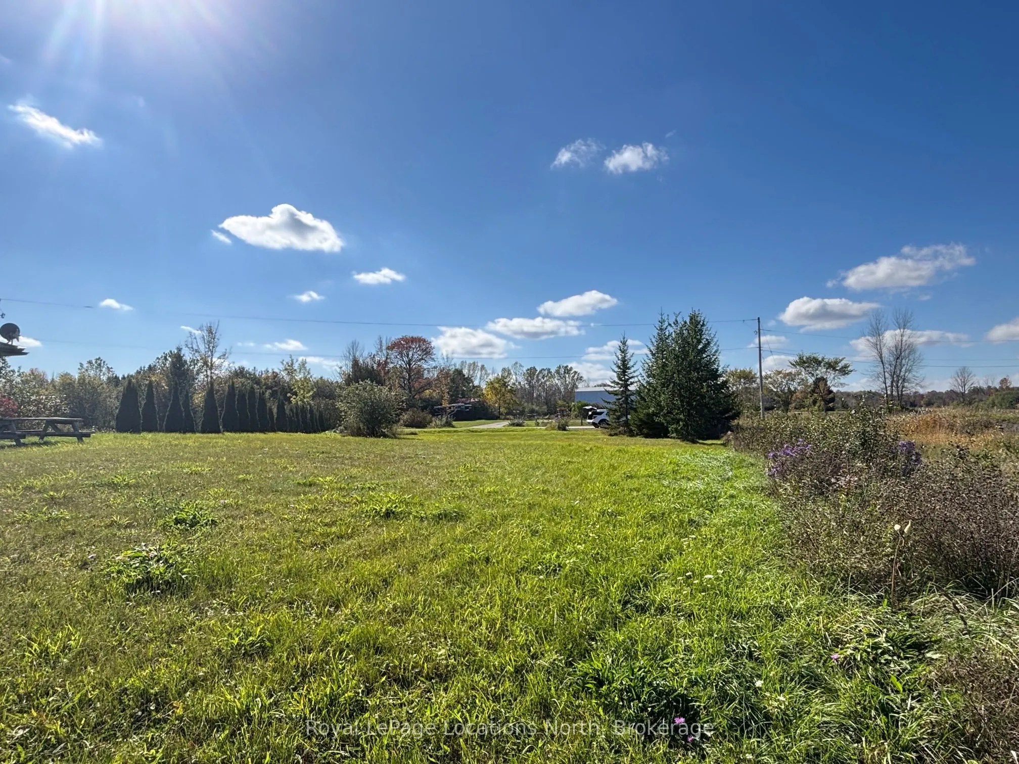 135 Scotia Drive