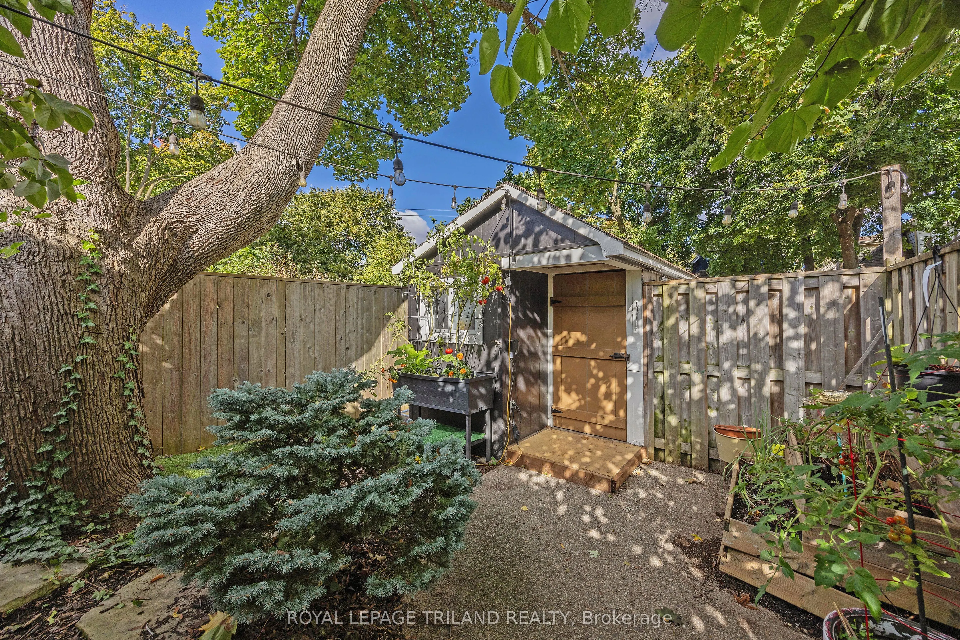 8 McKenzie Avenue