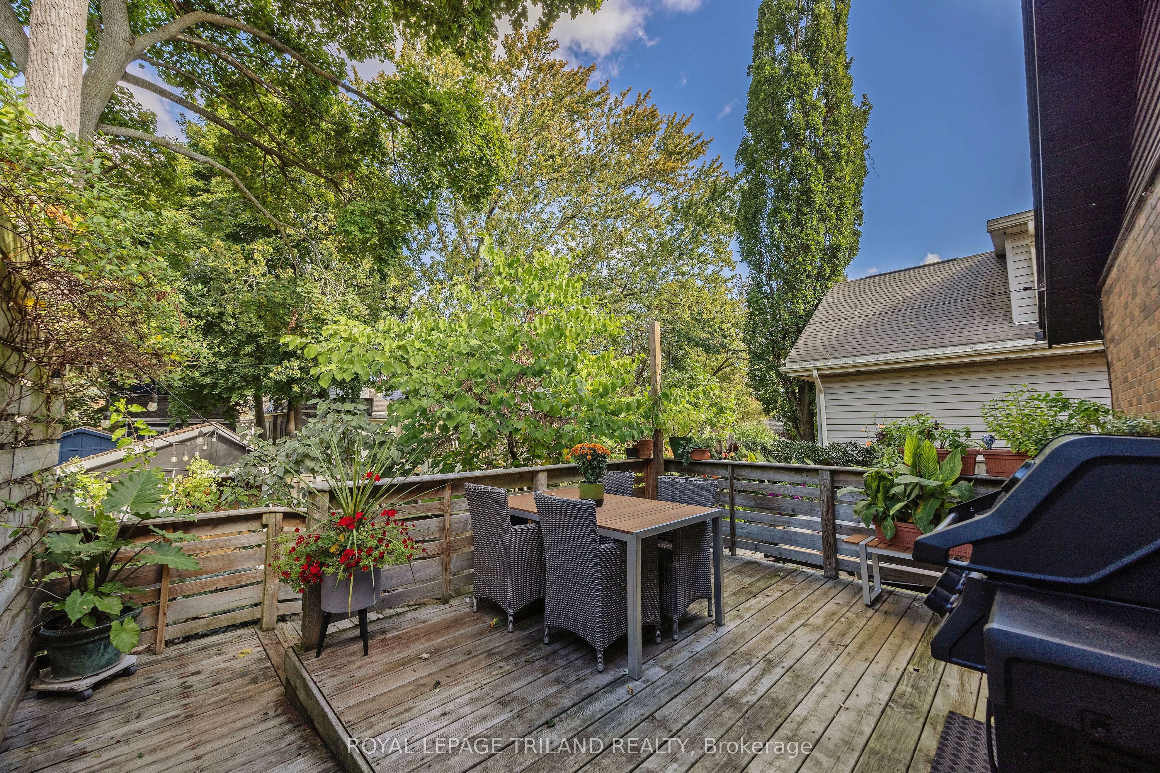 8 McKenzie Avenue