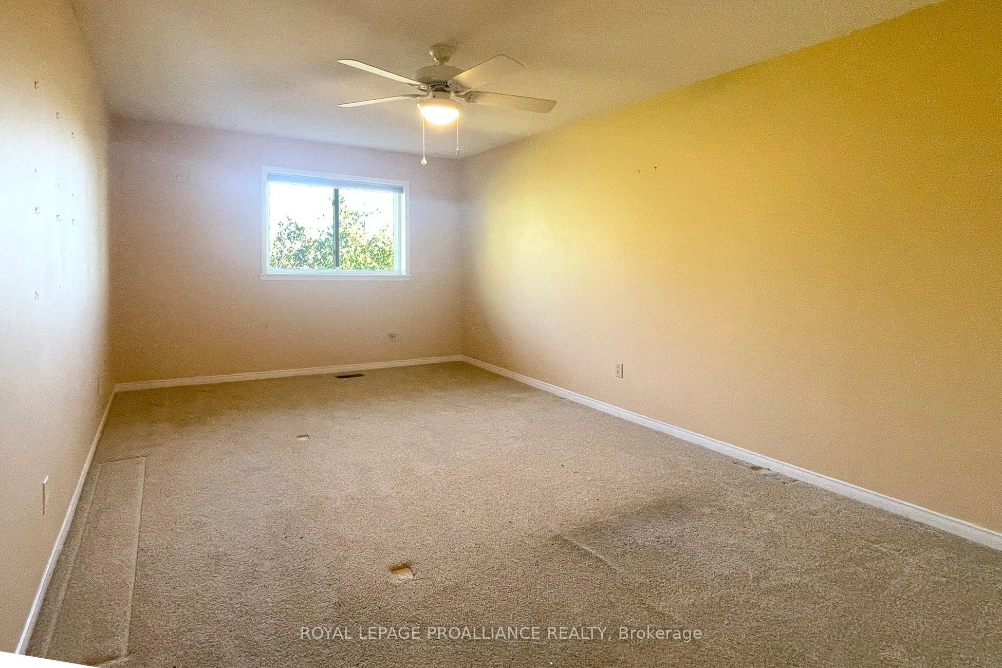 1099 Clonsilla Avenue #312A
