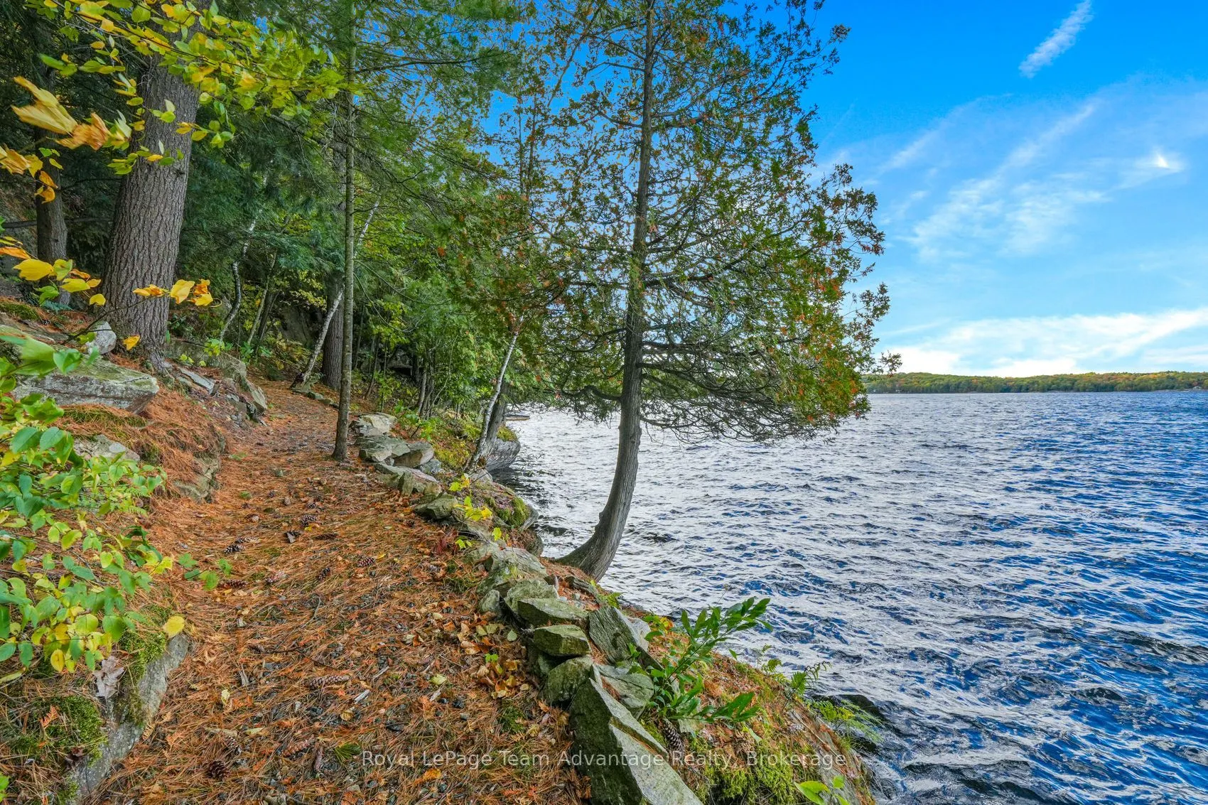 6 & 8 Mill Heights Road