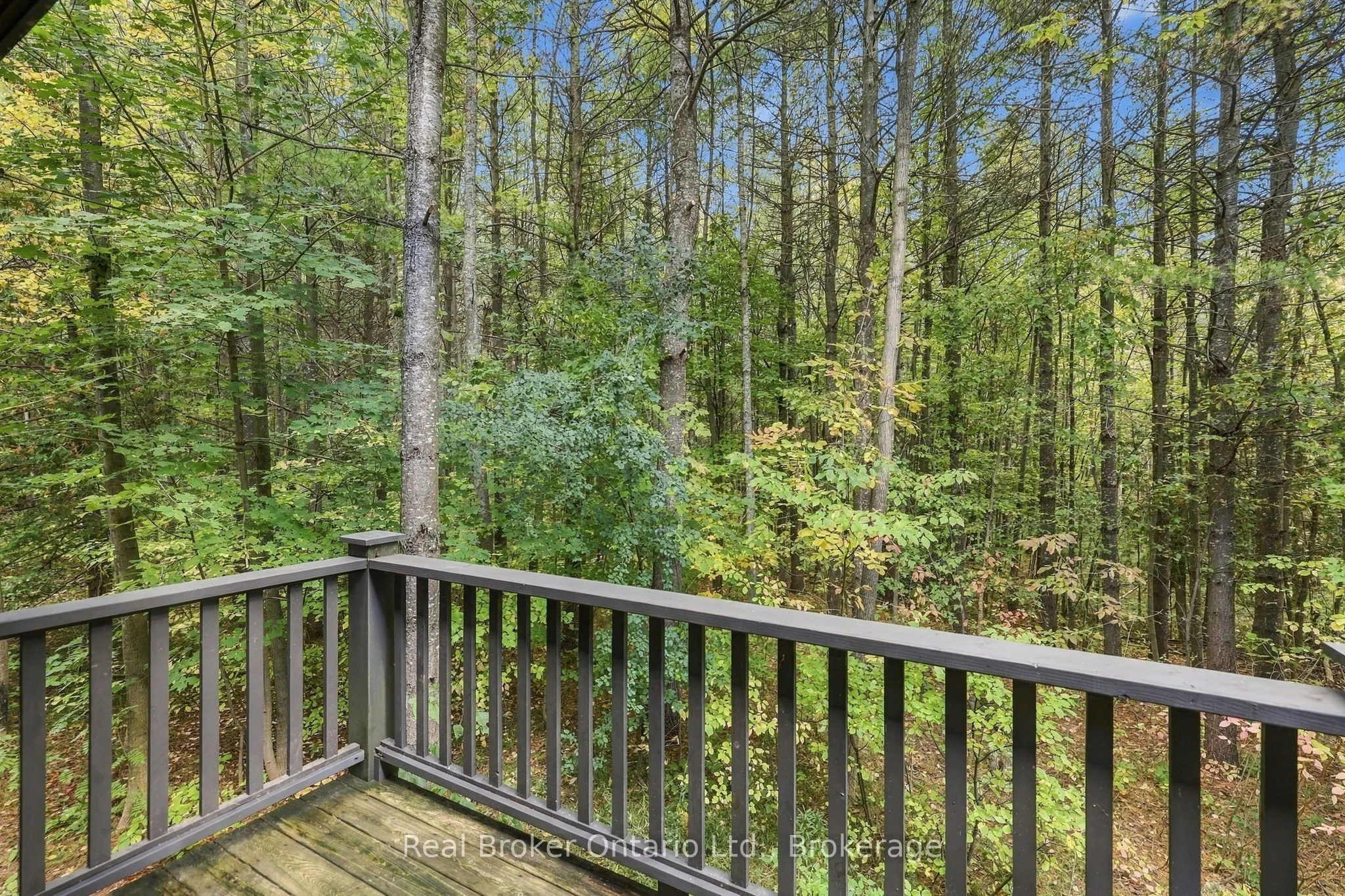 245589 22nd Side Road