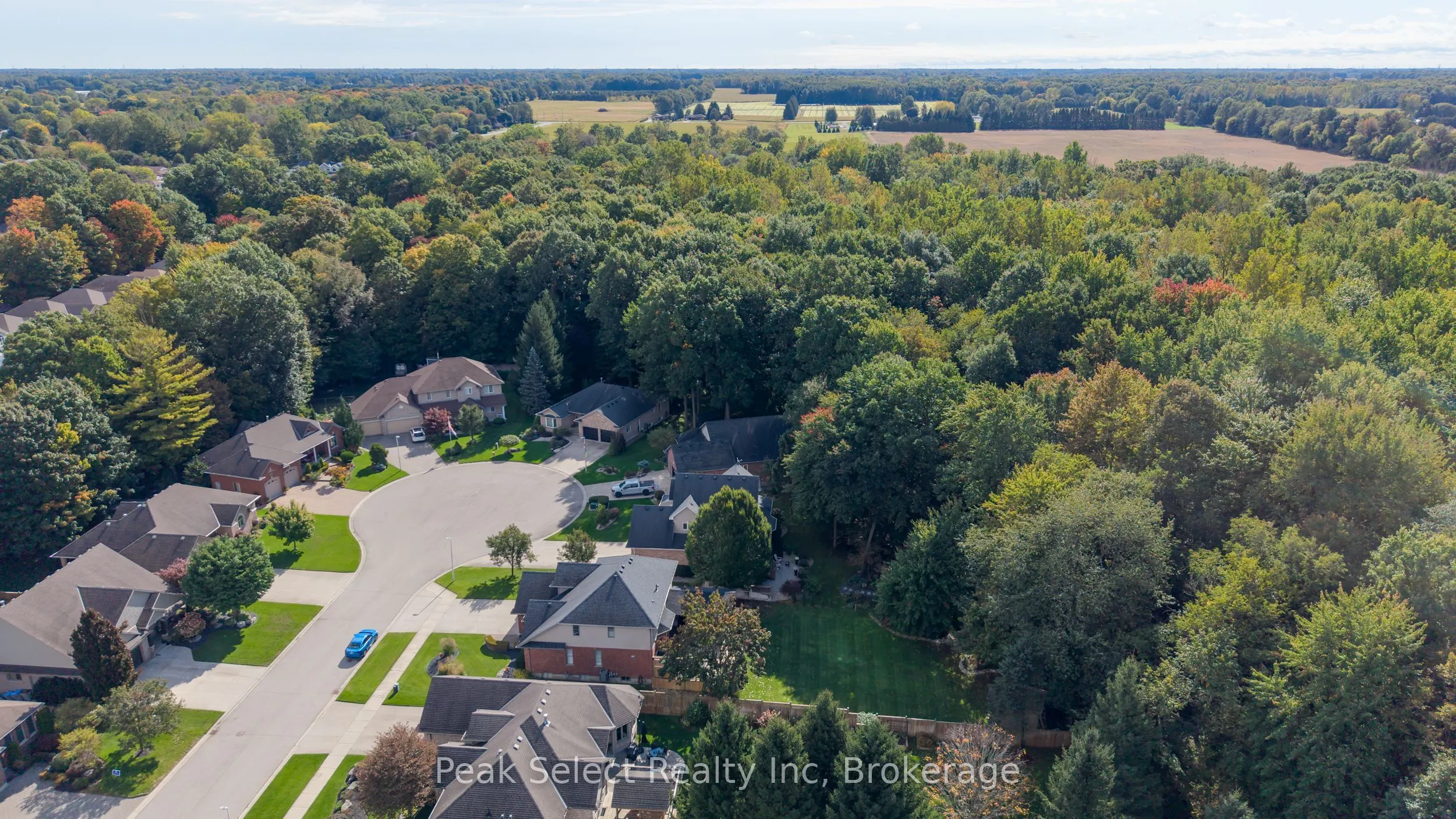 88 Saxonville Court