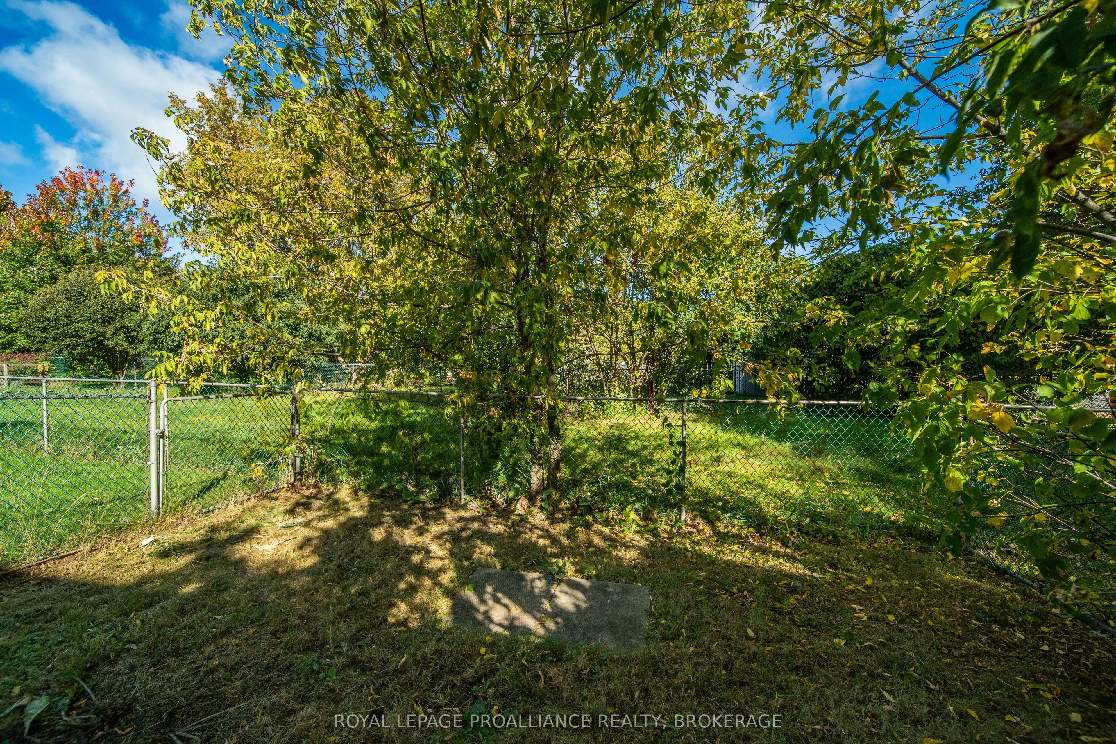 392 Davis Drive