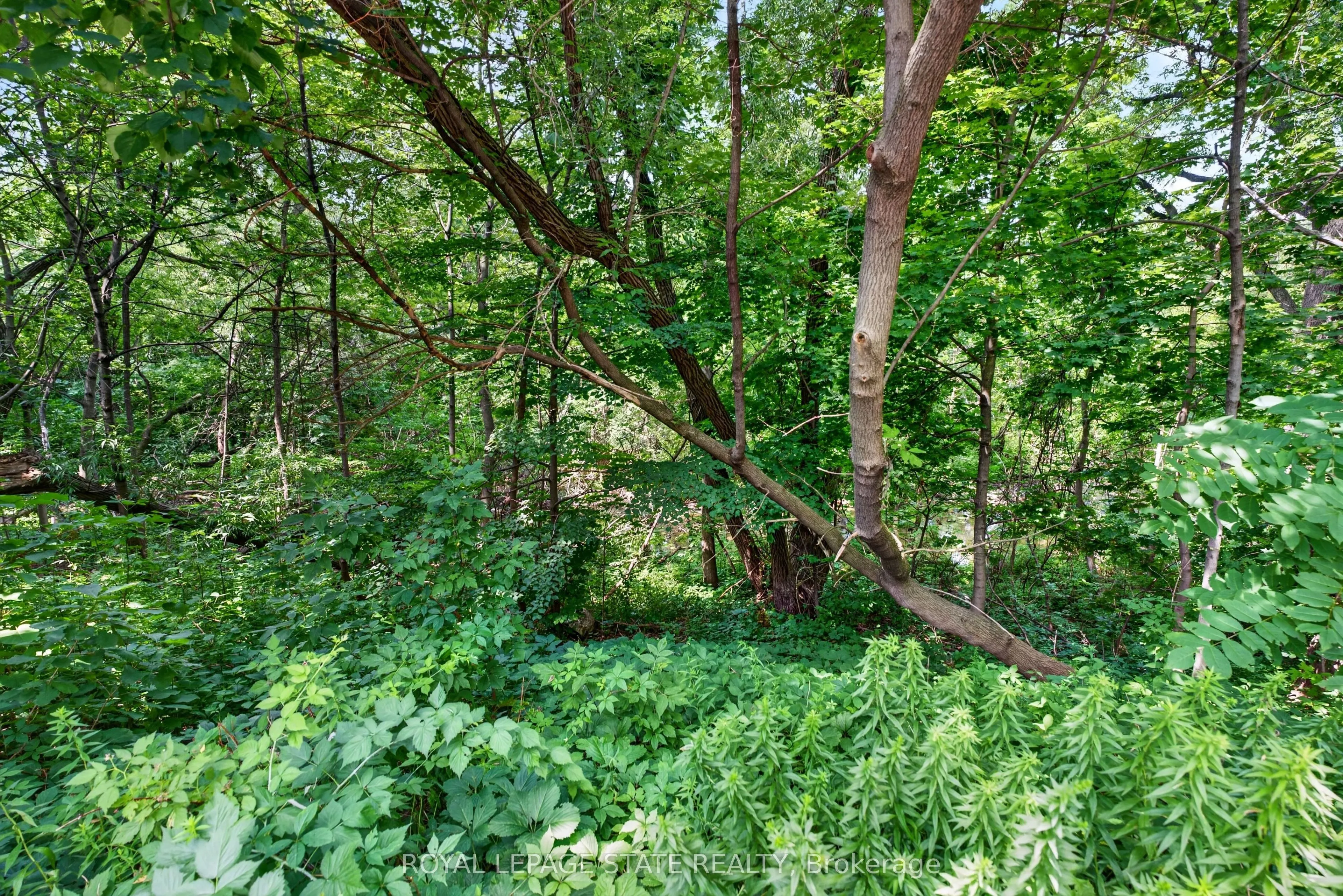 966 Queenston Road #203