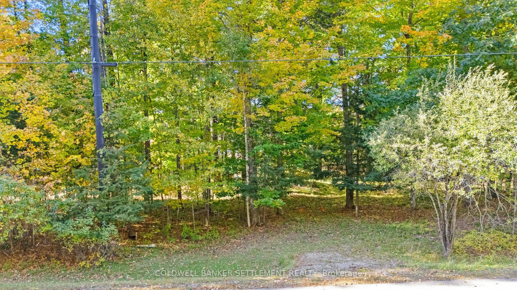 0 Poole Drive