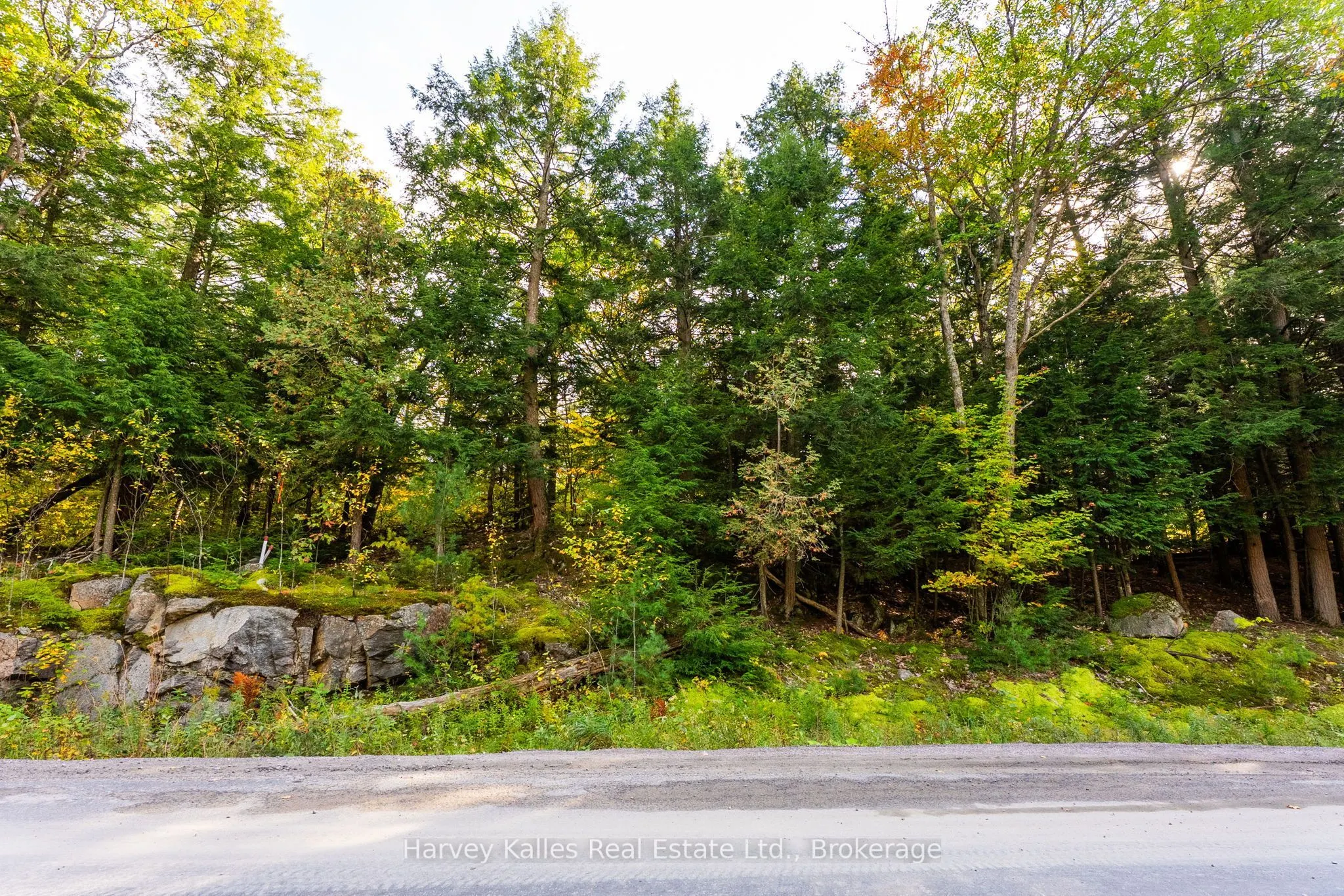 Across from 1210 Rostrevor Road