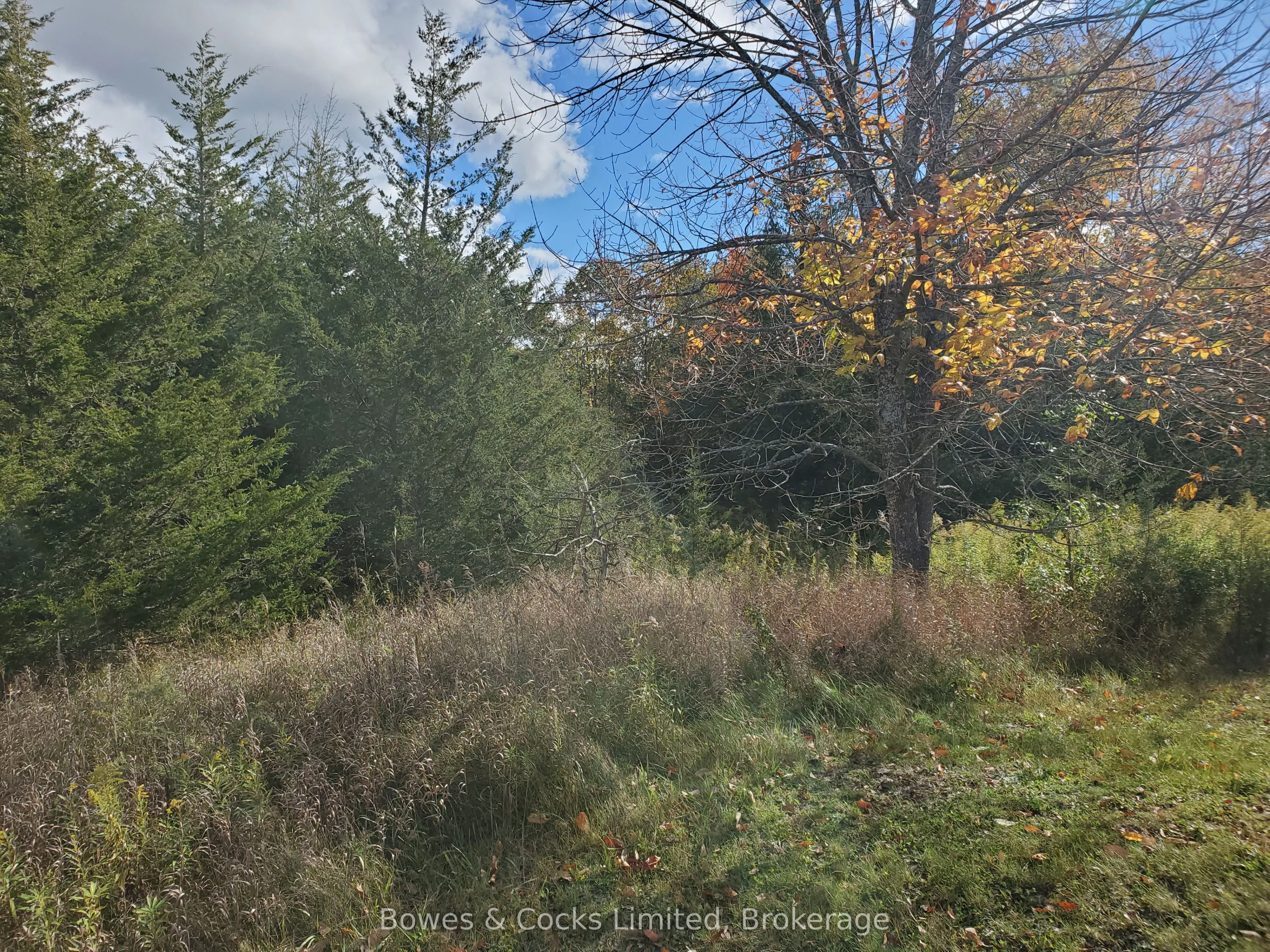 Lot 12 Lakeview Drive