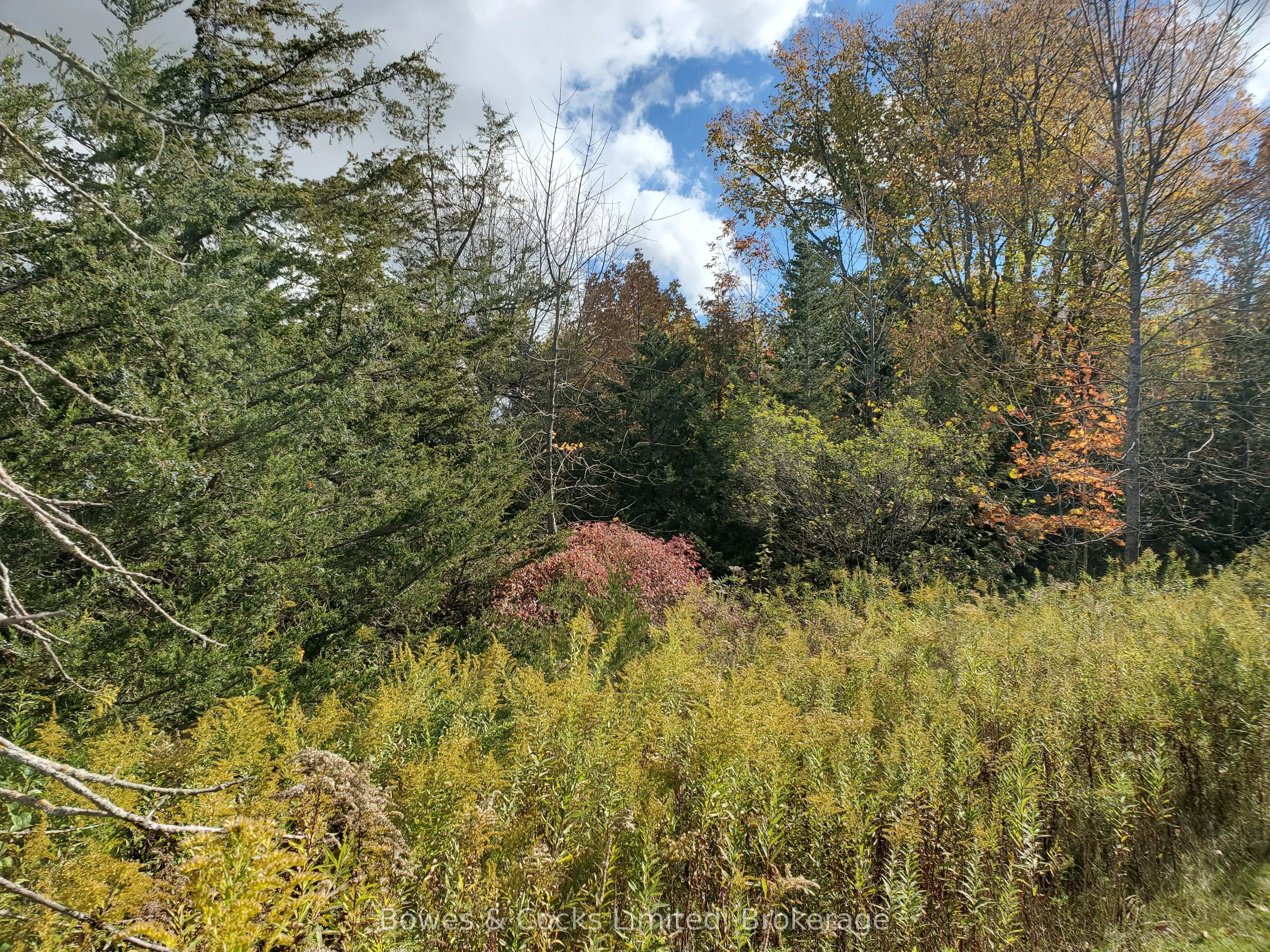 Lot 12 Lakeview Drive