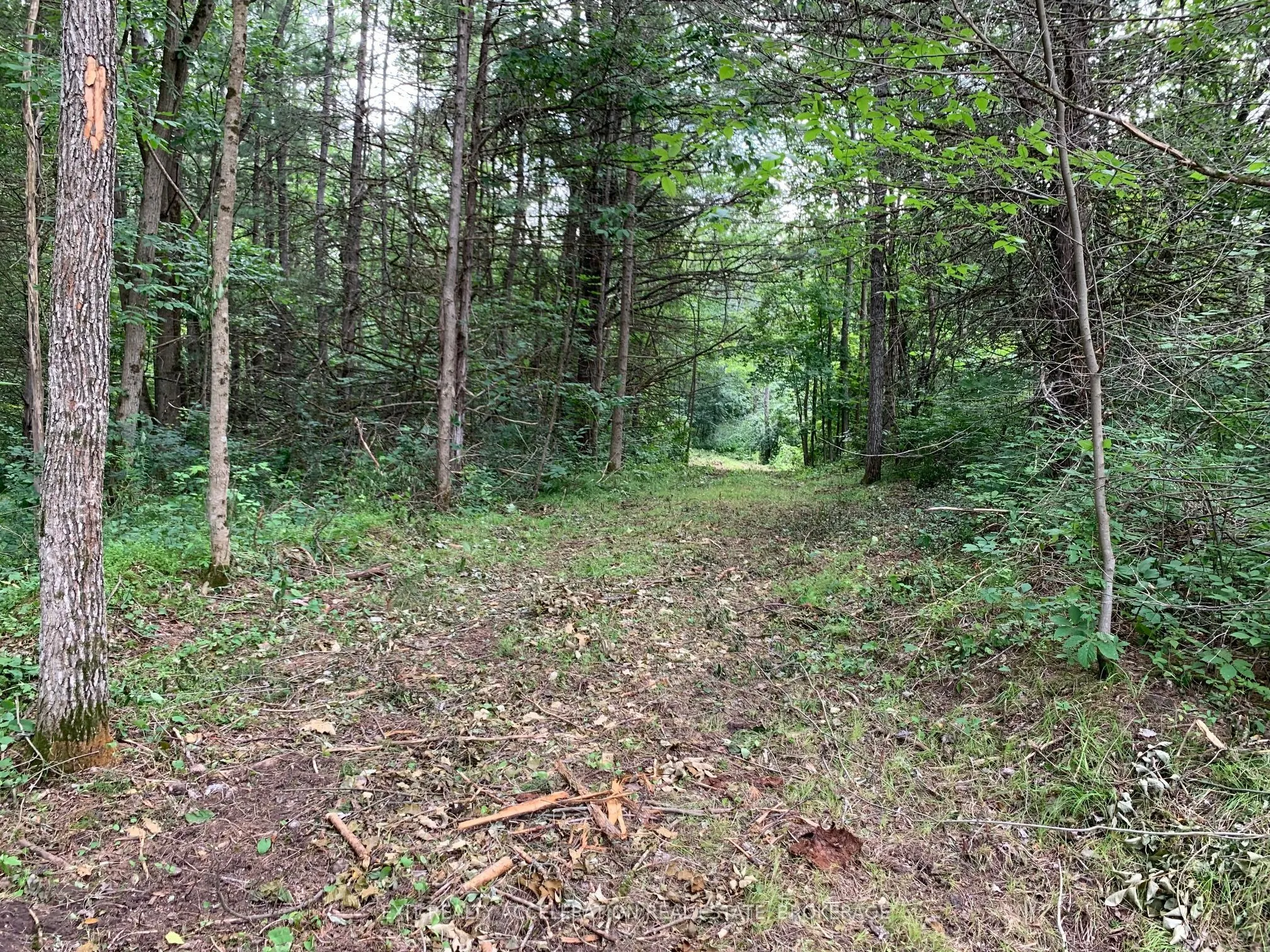 00 Con11 Pine Grove Road