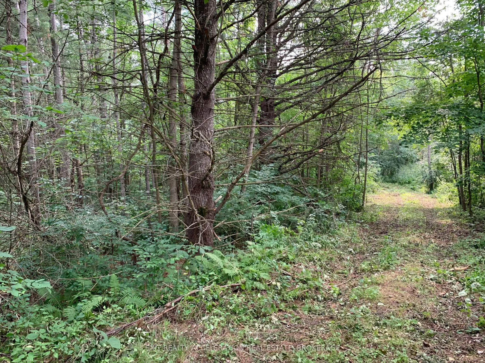 00 Con11 Pine Grove Road