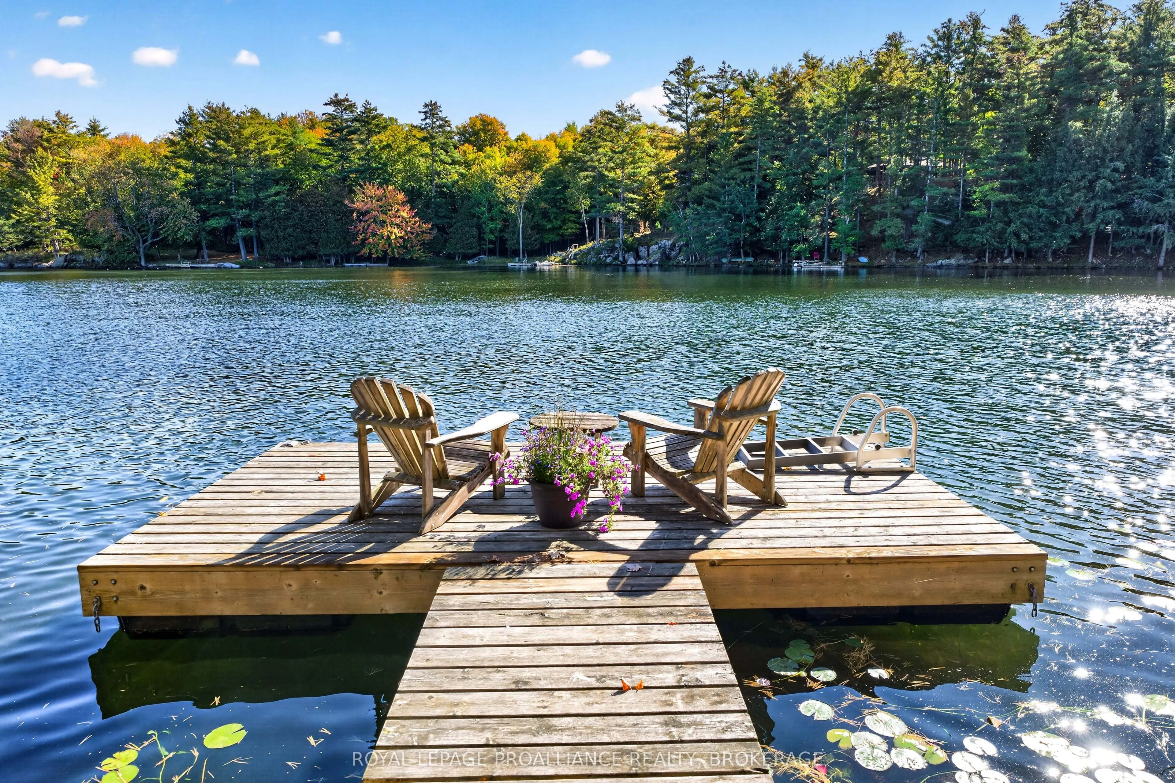 1124 Sawmill Lane