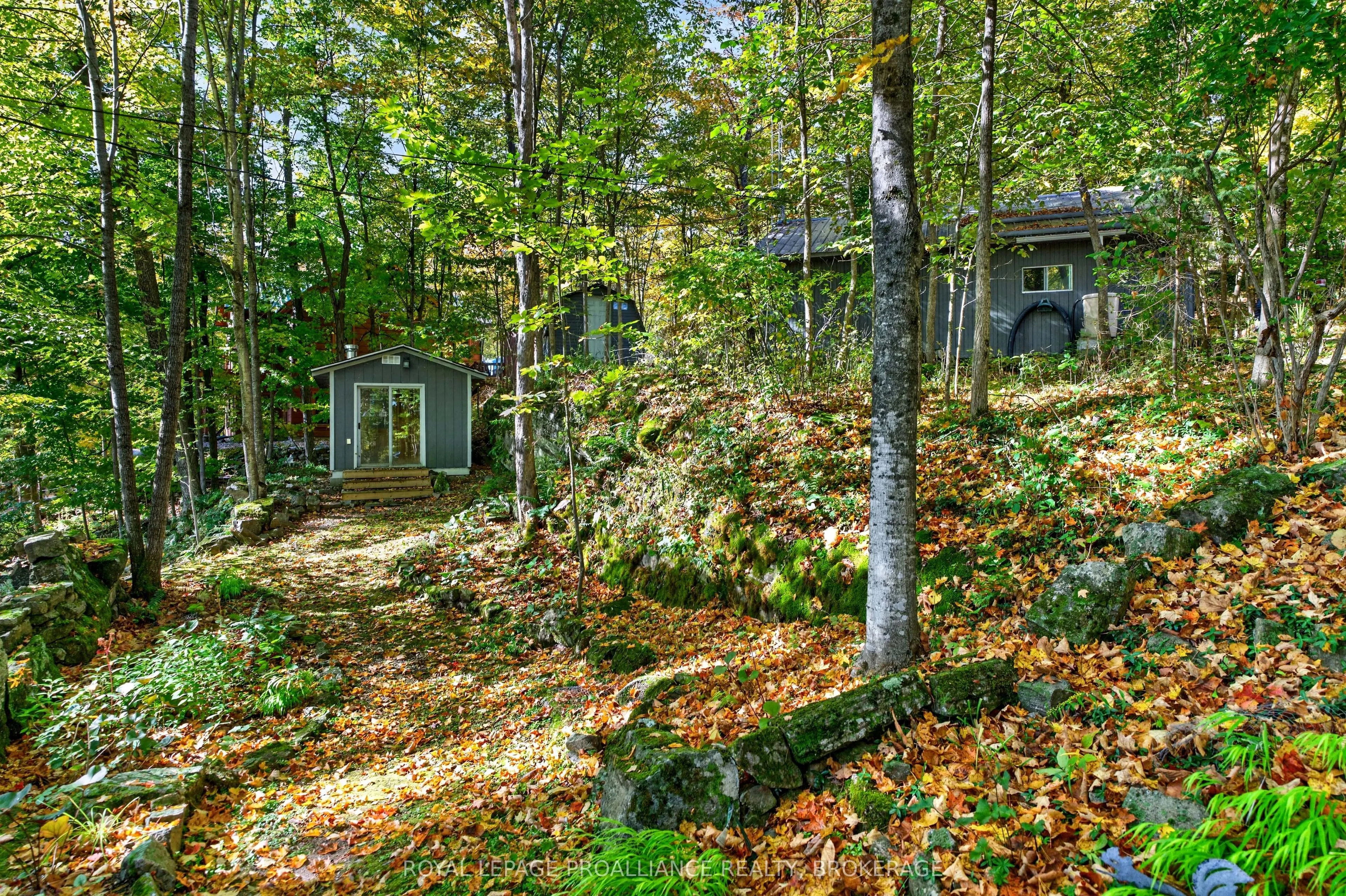 1124 Sawmill Lane