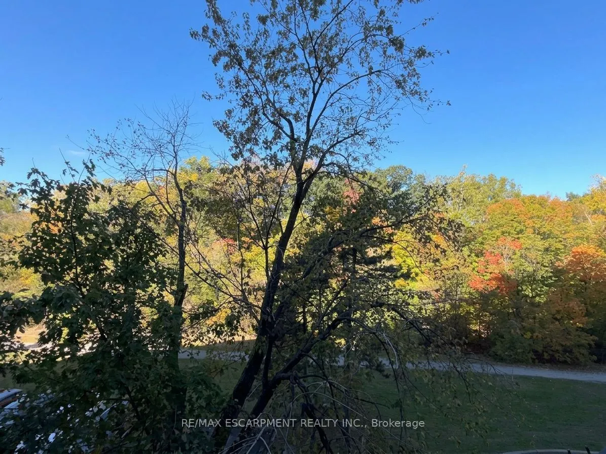 350 Quigley Road #346