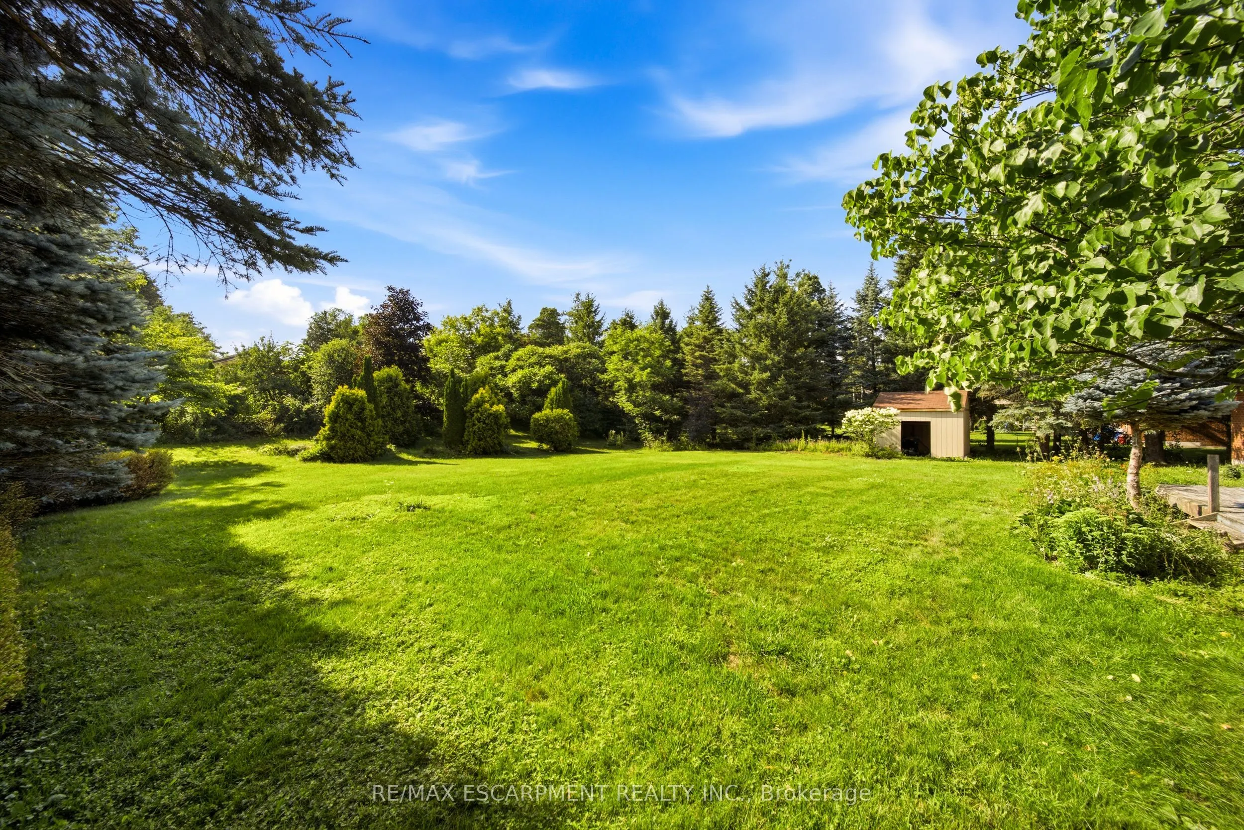 6 Willow Crescent