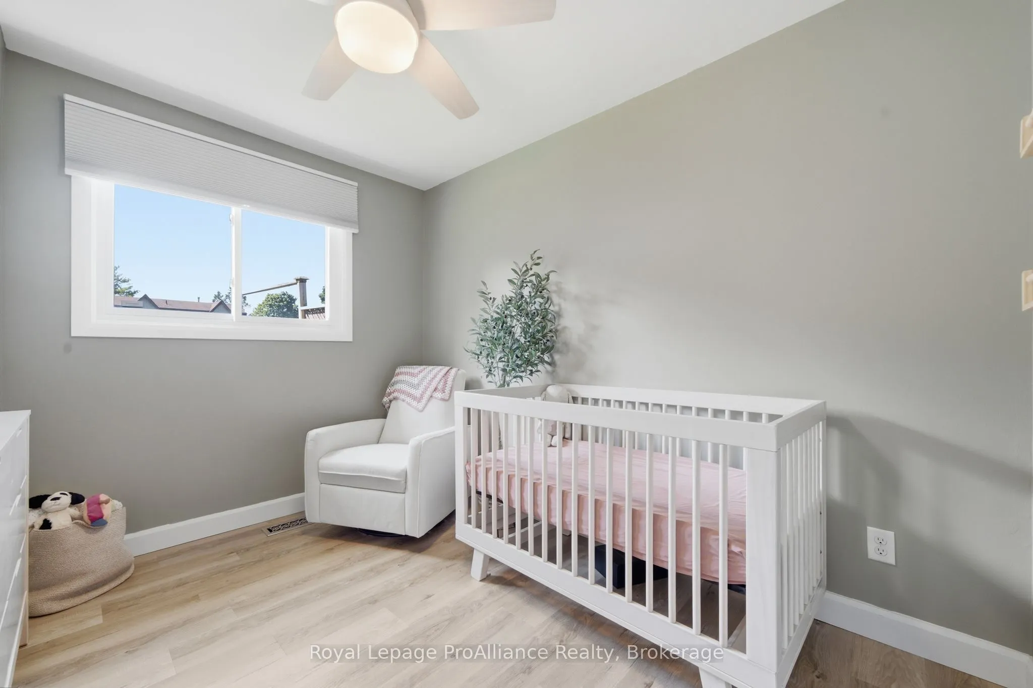 1 Alnet Drive