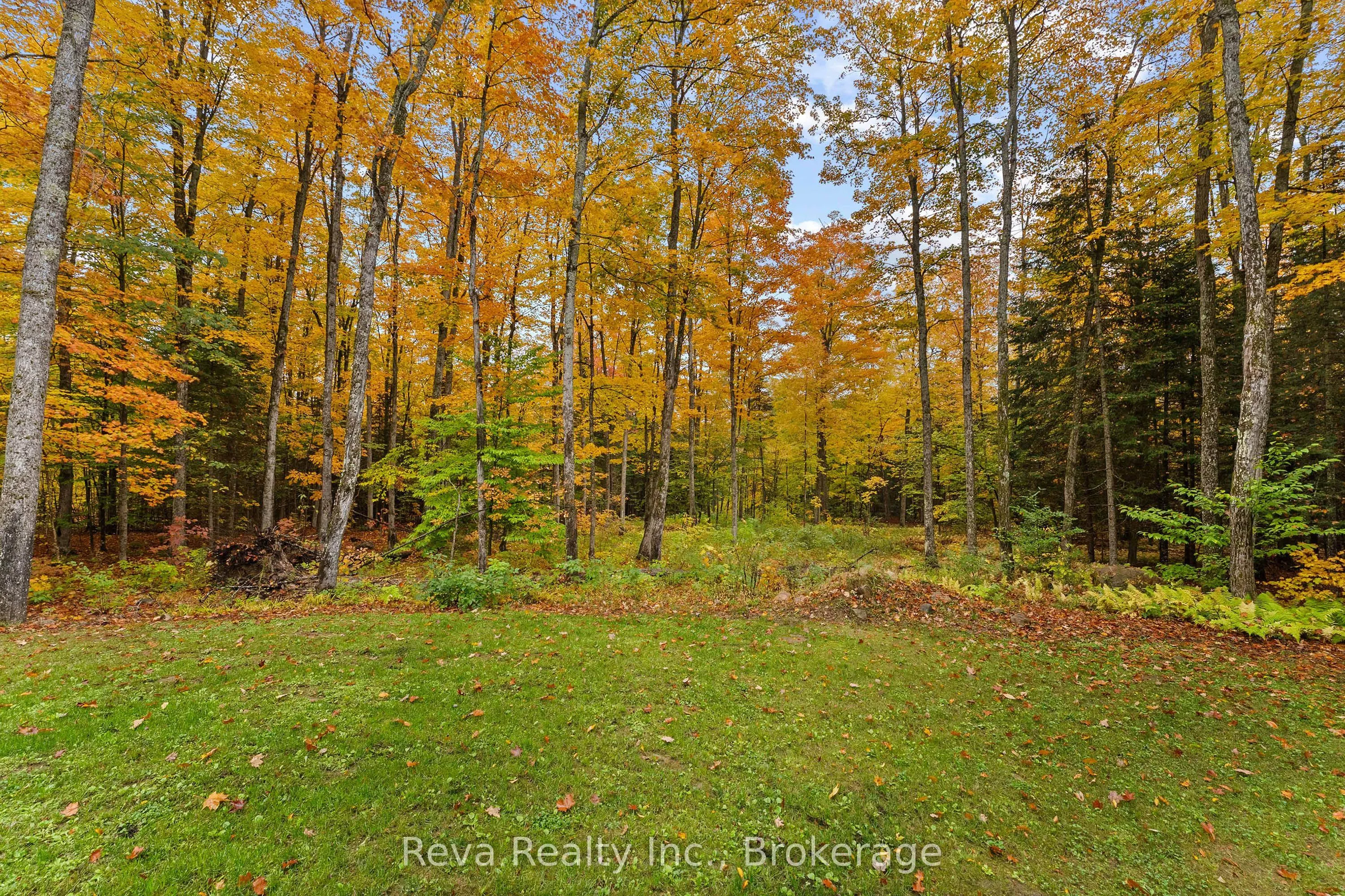 595 Old Diamond Lake Road