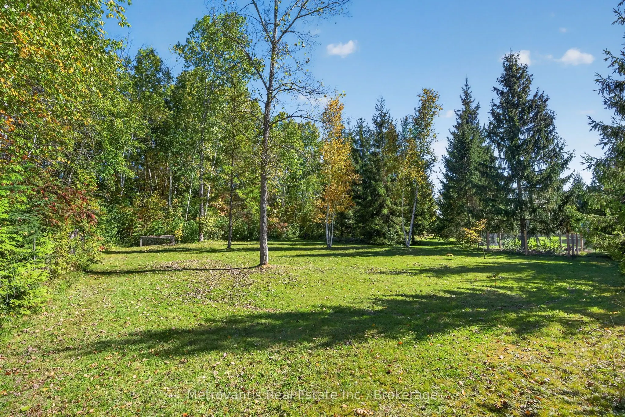 703 French Settlement Road