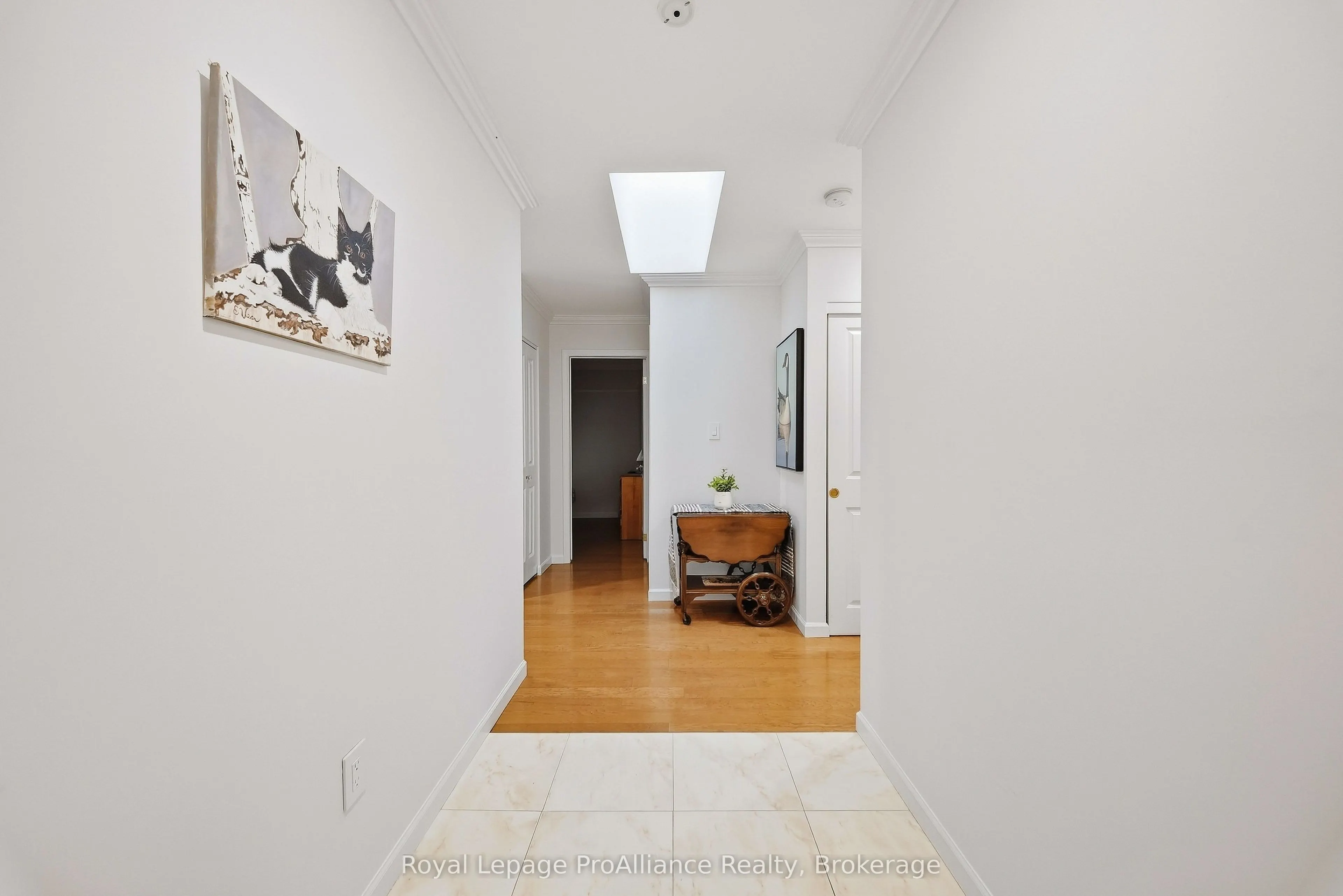 223 North Park Street #311C