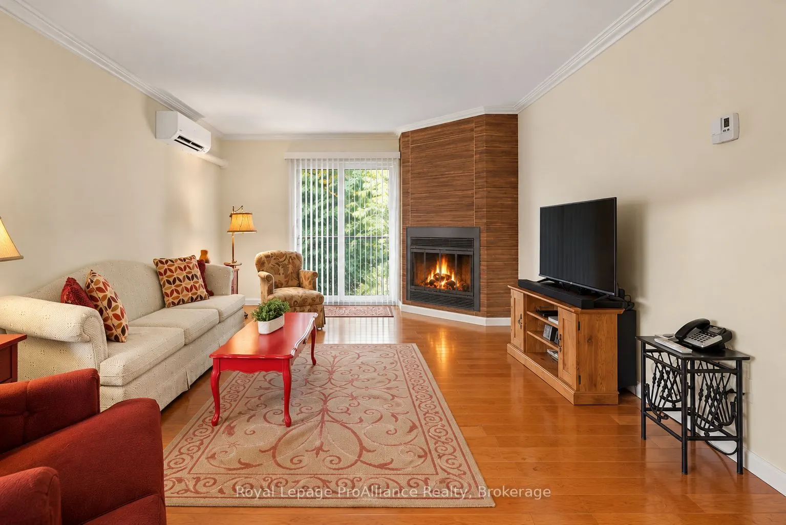 223 North Park Street #311C
