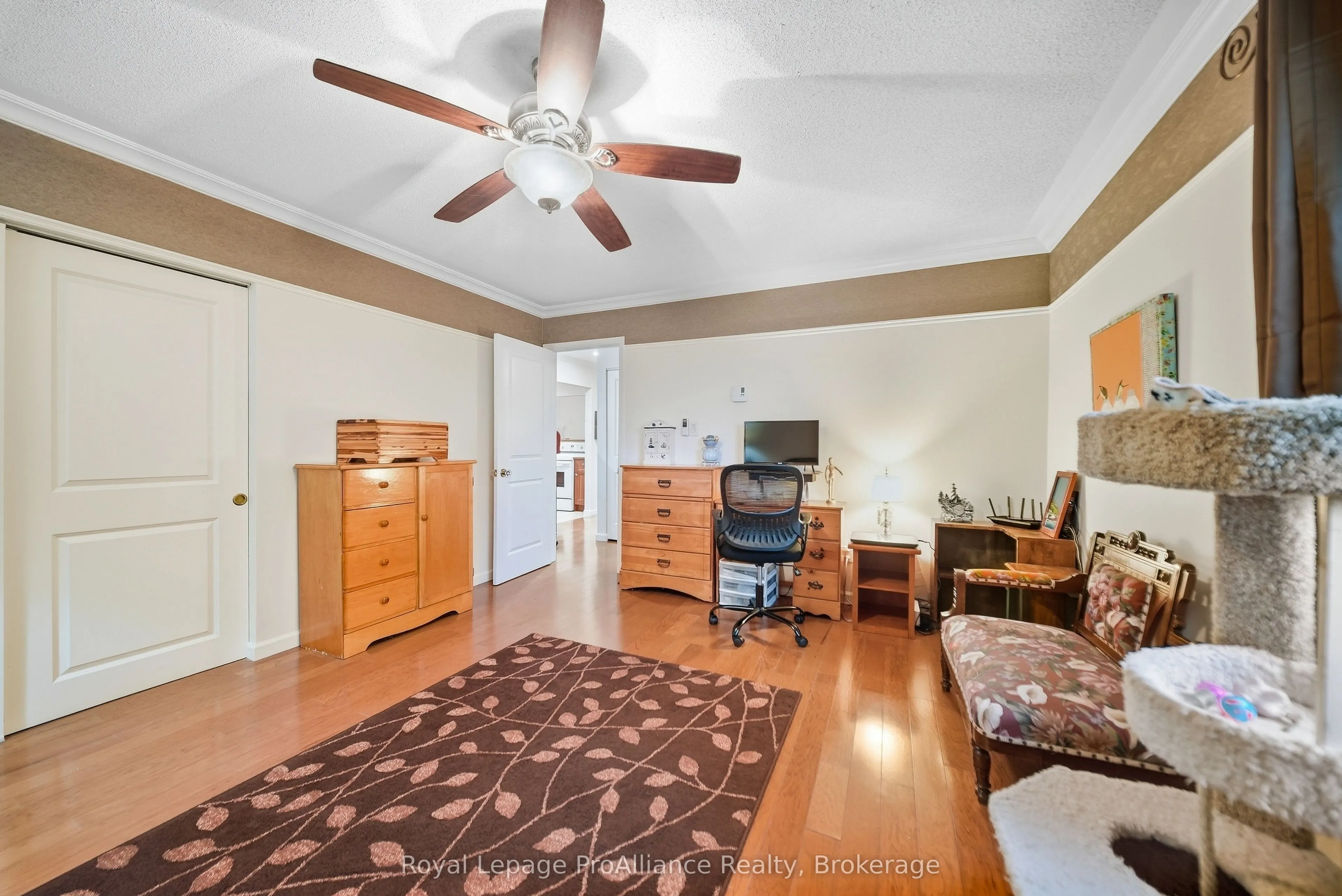 223 North Park Street #311C