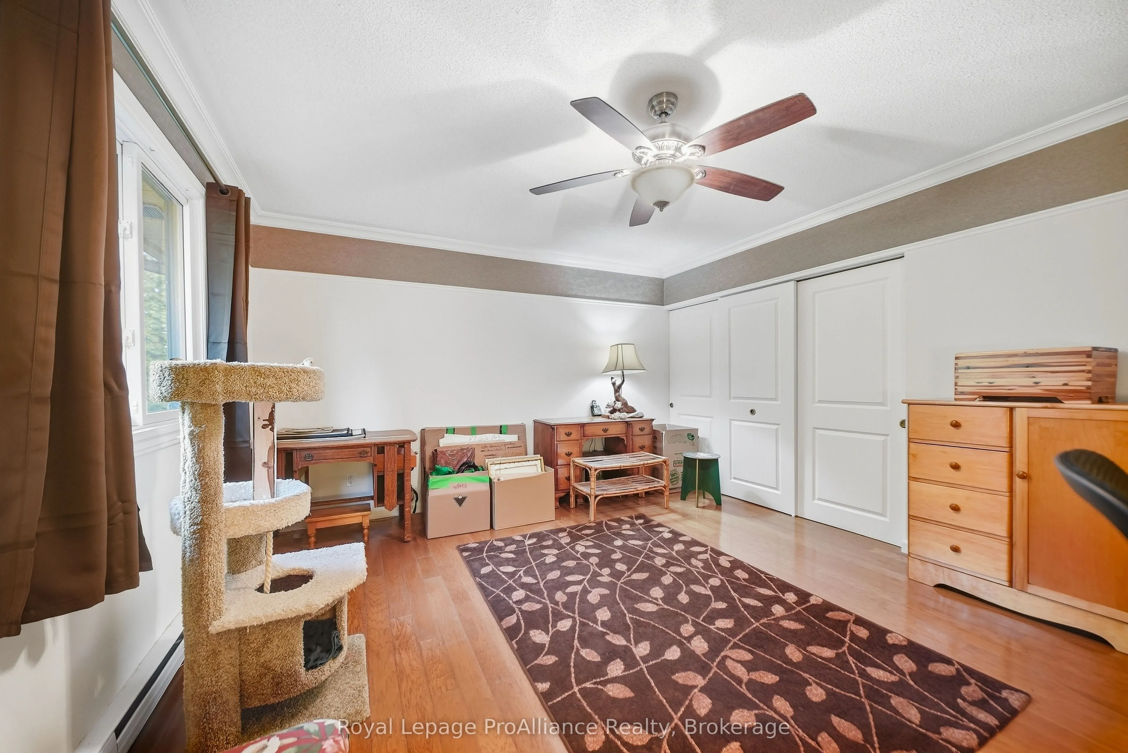 223 North Park Street #311C