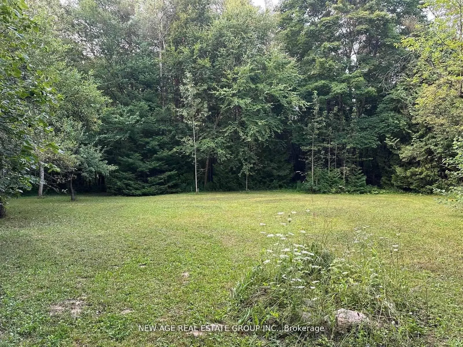 9031 Sideroad 17