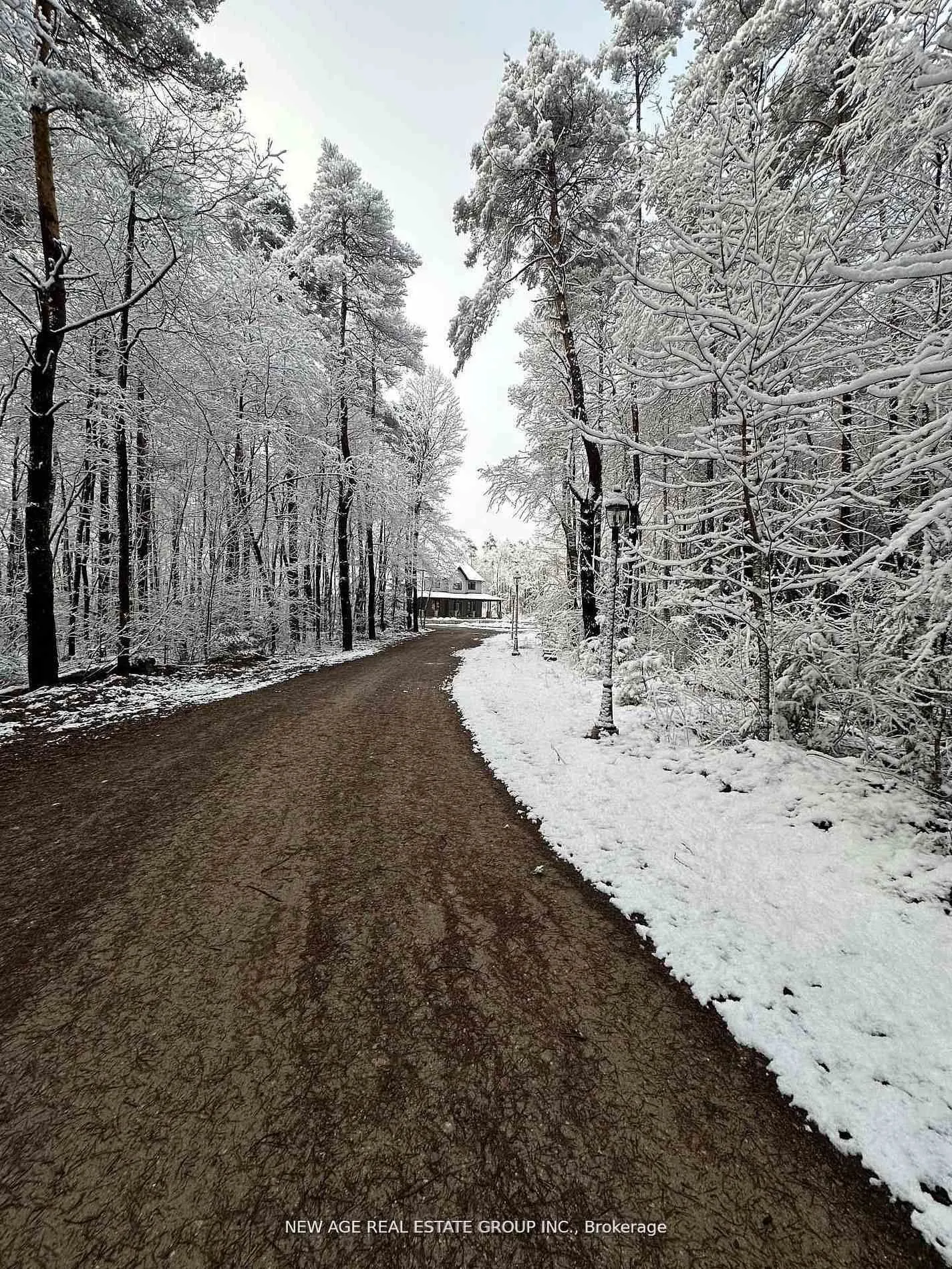 9031 Sideroad 17