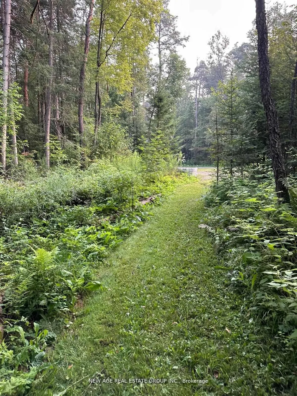 9031 Sideroad 17