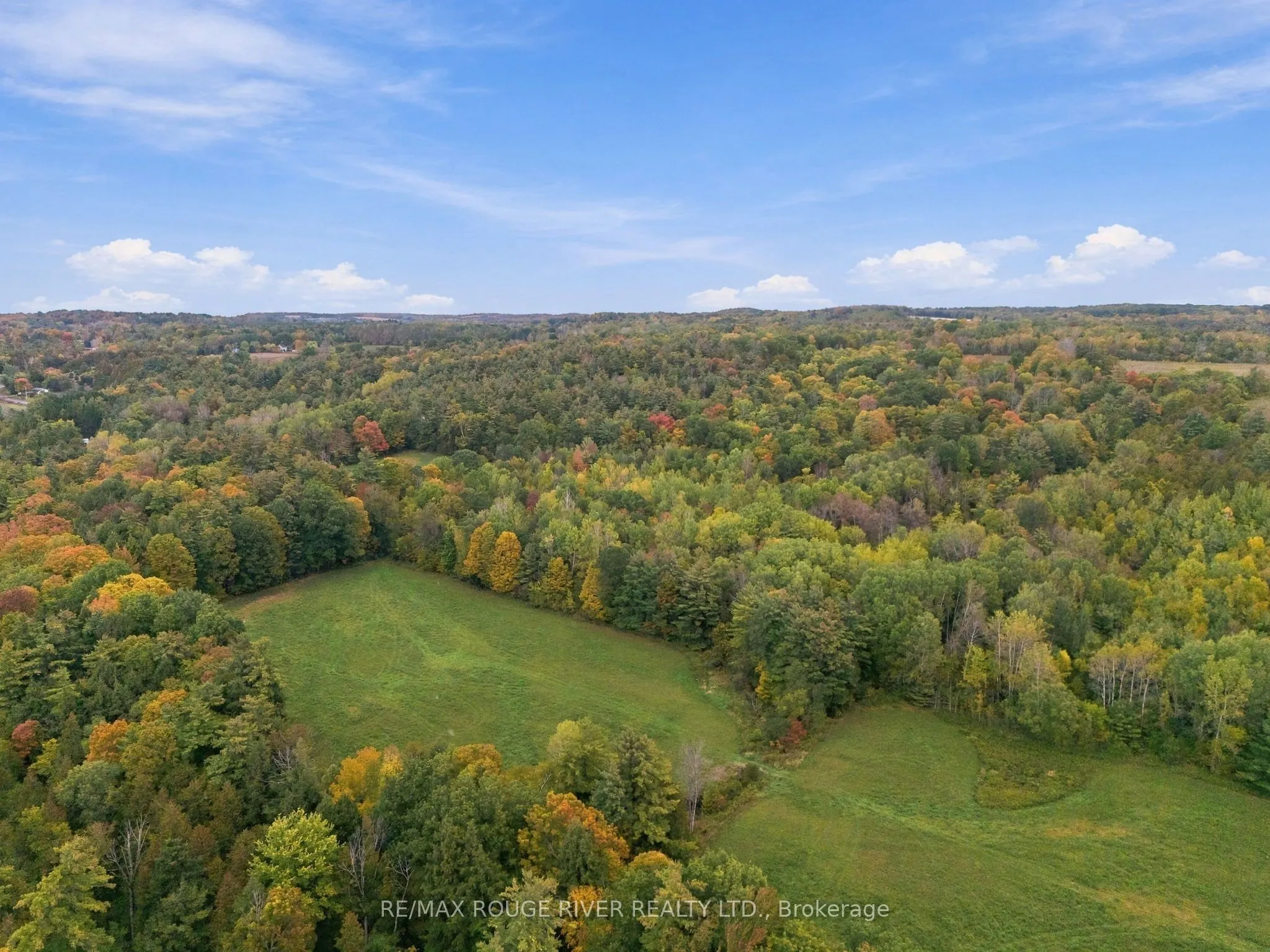 13643 Little Lake Road