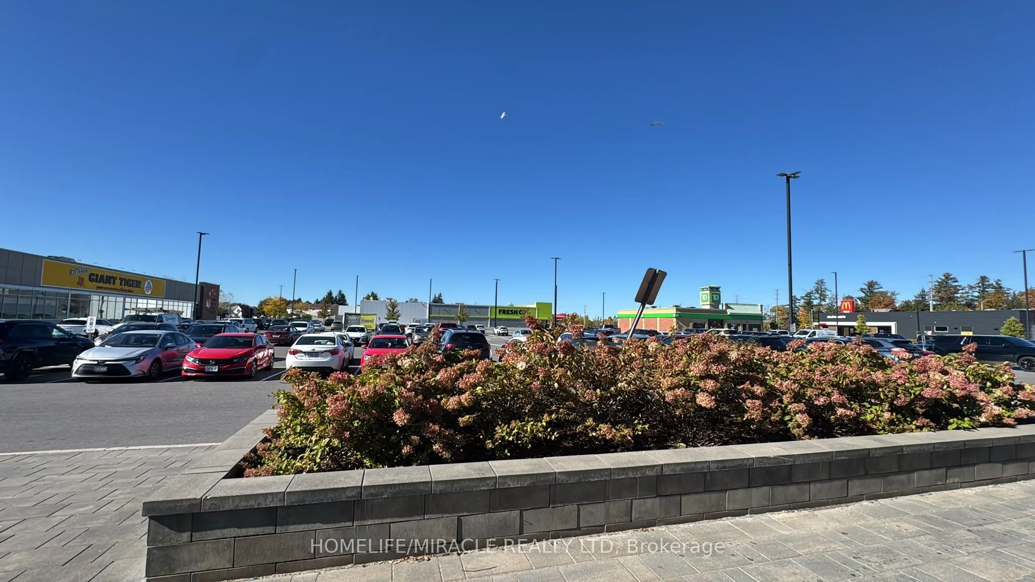 900 Watters Road #7
