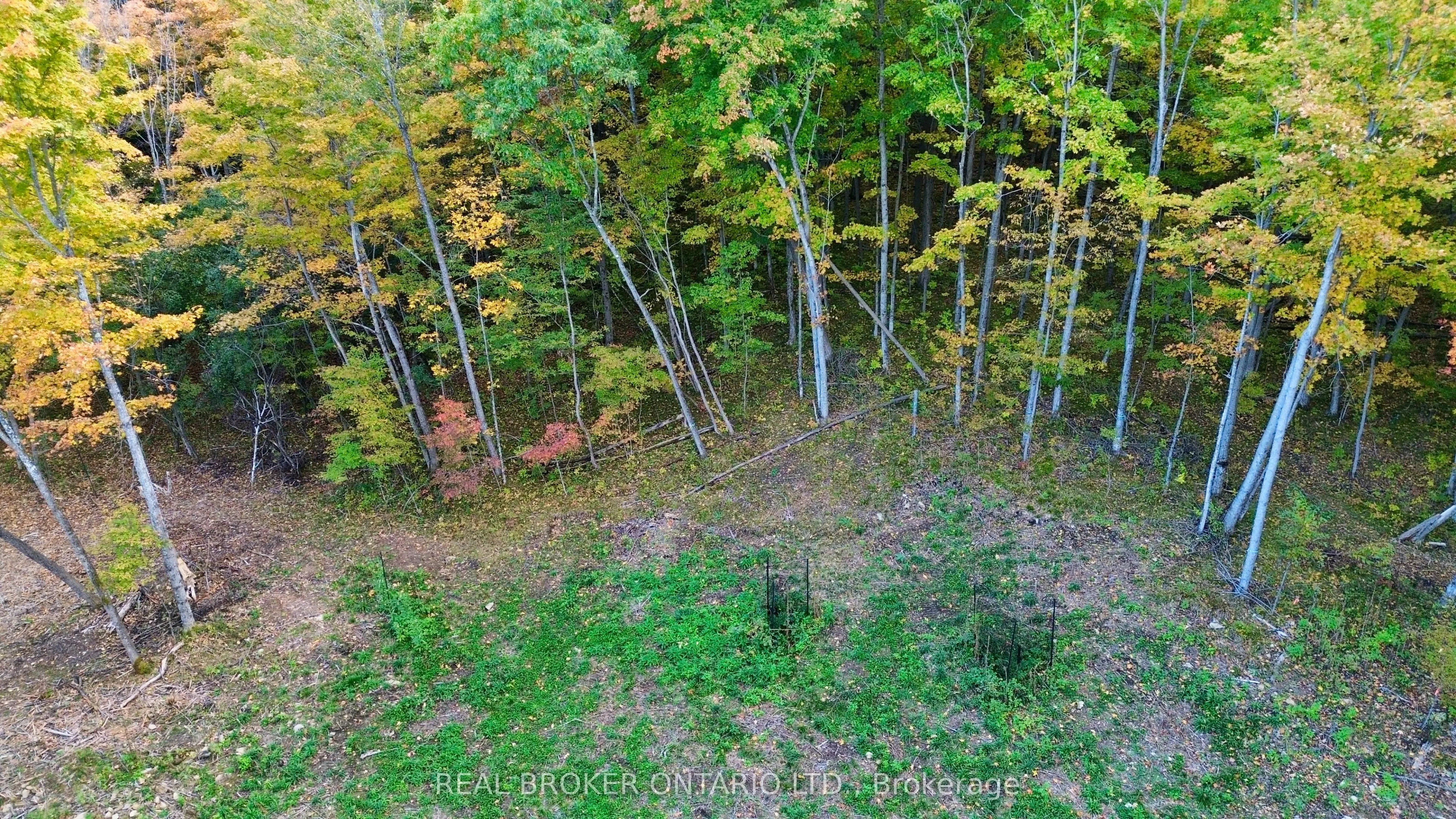 349 Burchill Road