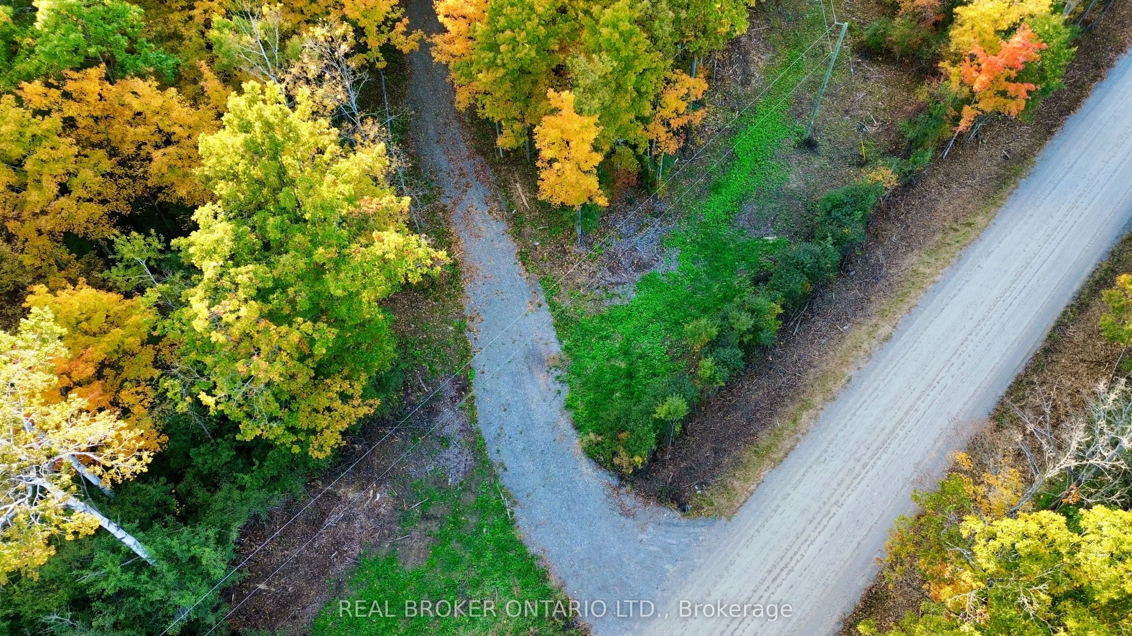 349 Burchill Road