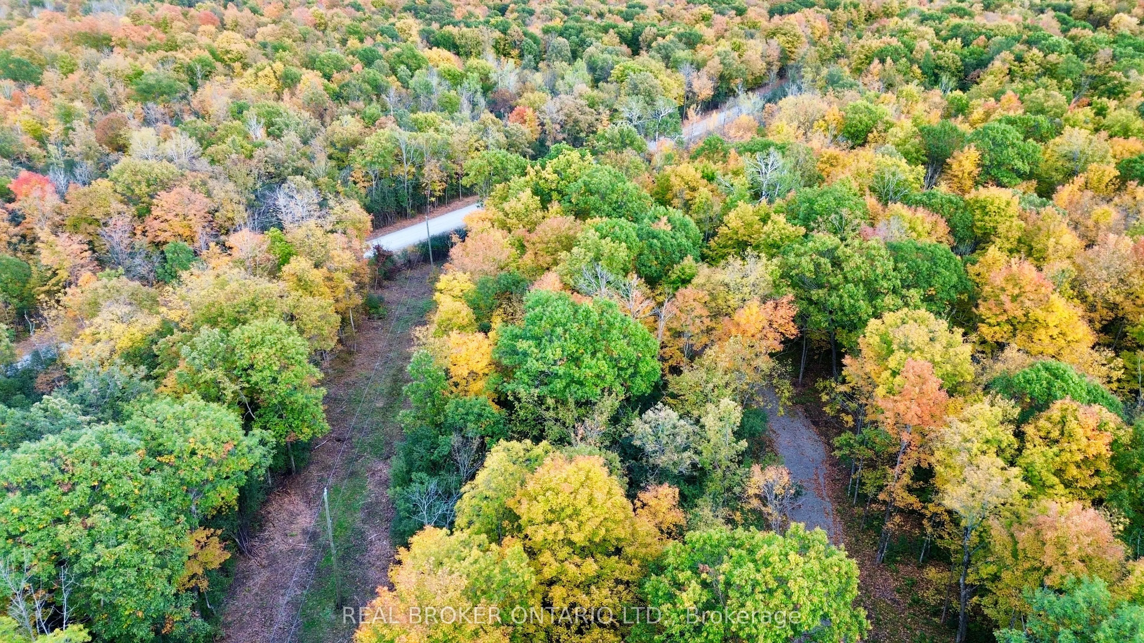 349 Burchill Road
