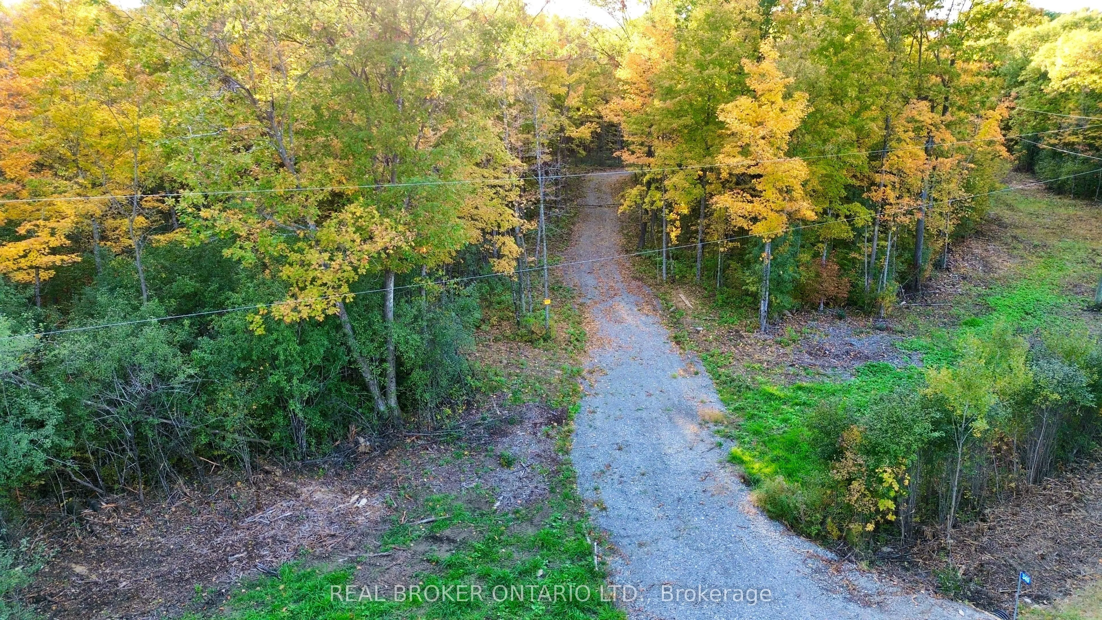 349 Burchill Road