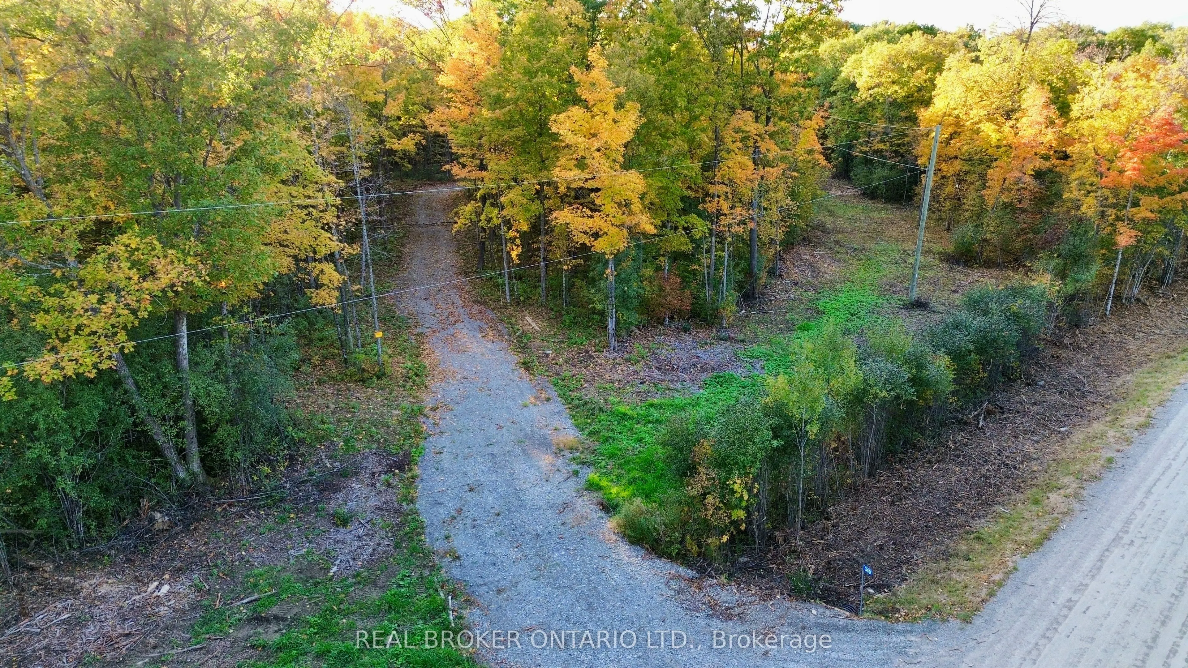349 Burchill Road