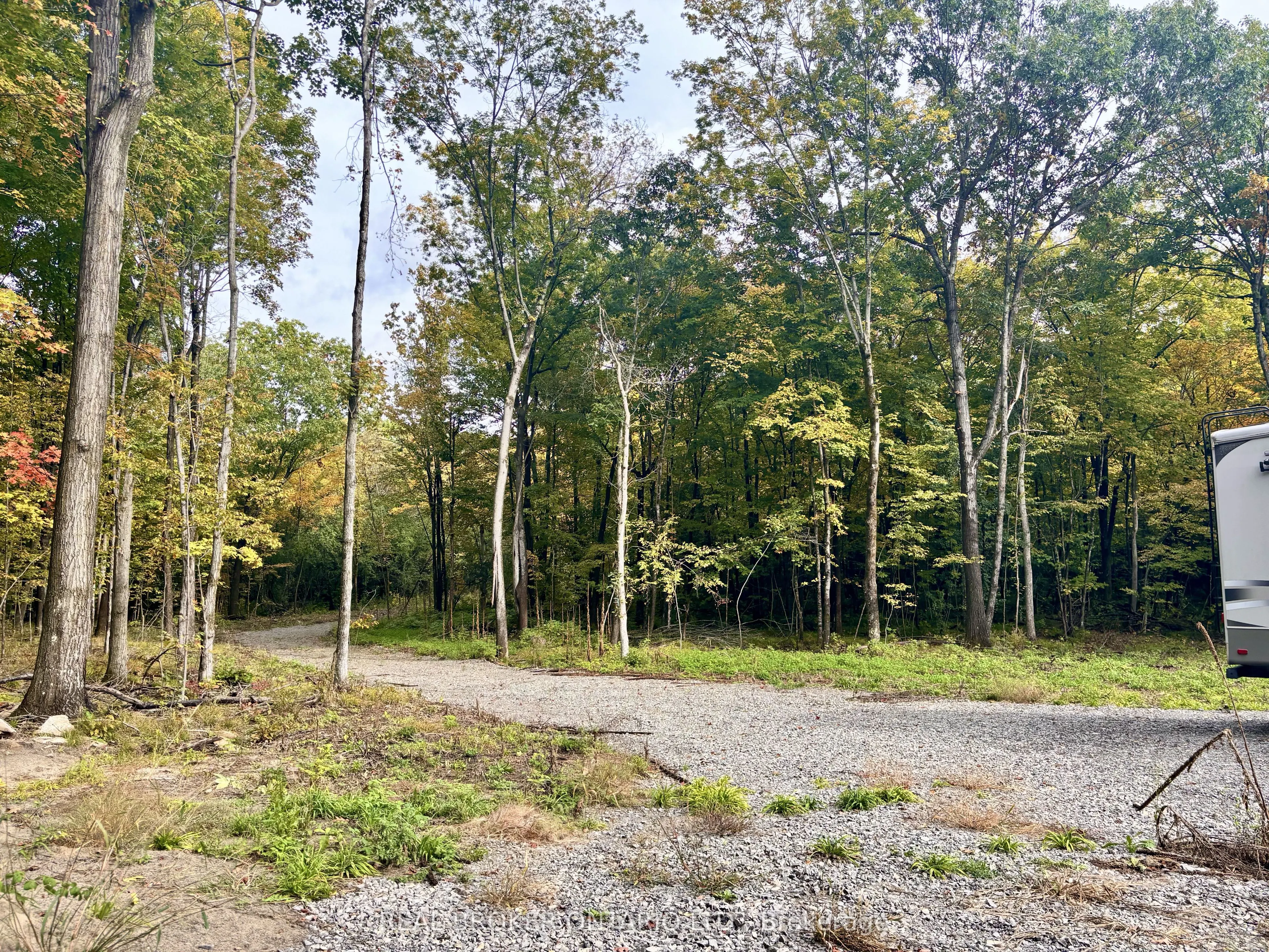 349 Burchill Road