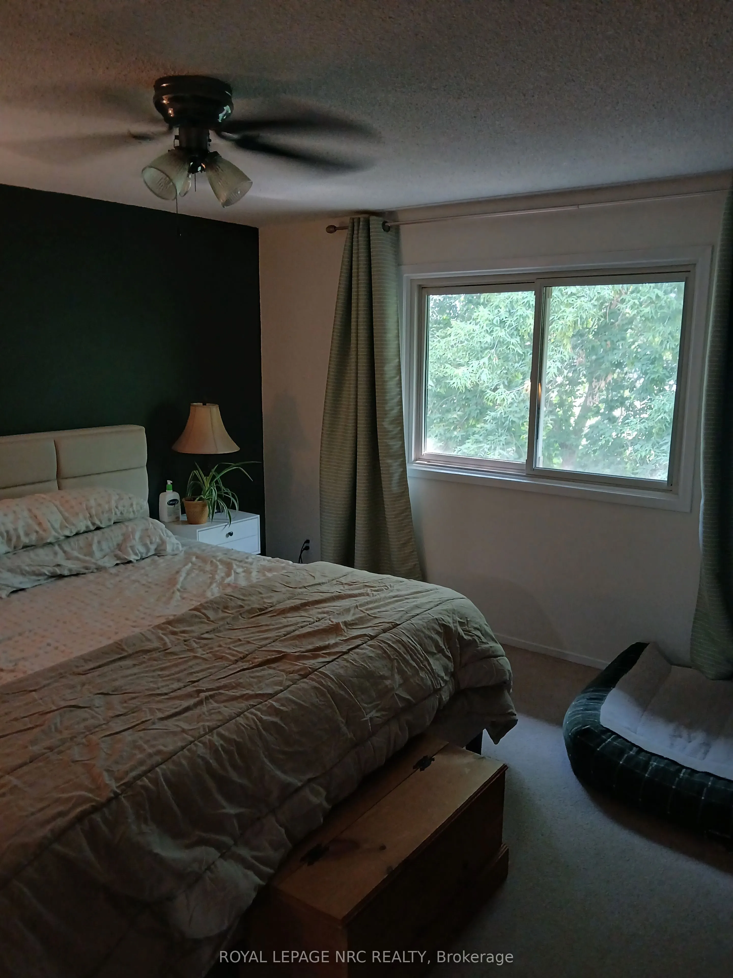 302 Vine Street #31