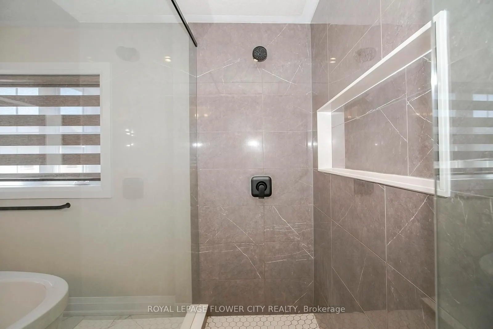 174 Shaded Creek Drive