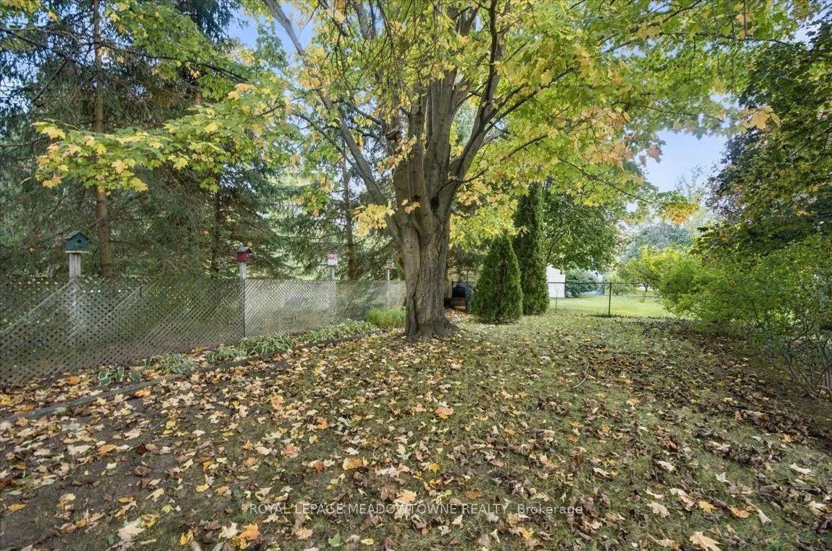 137 Orchard Drive