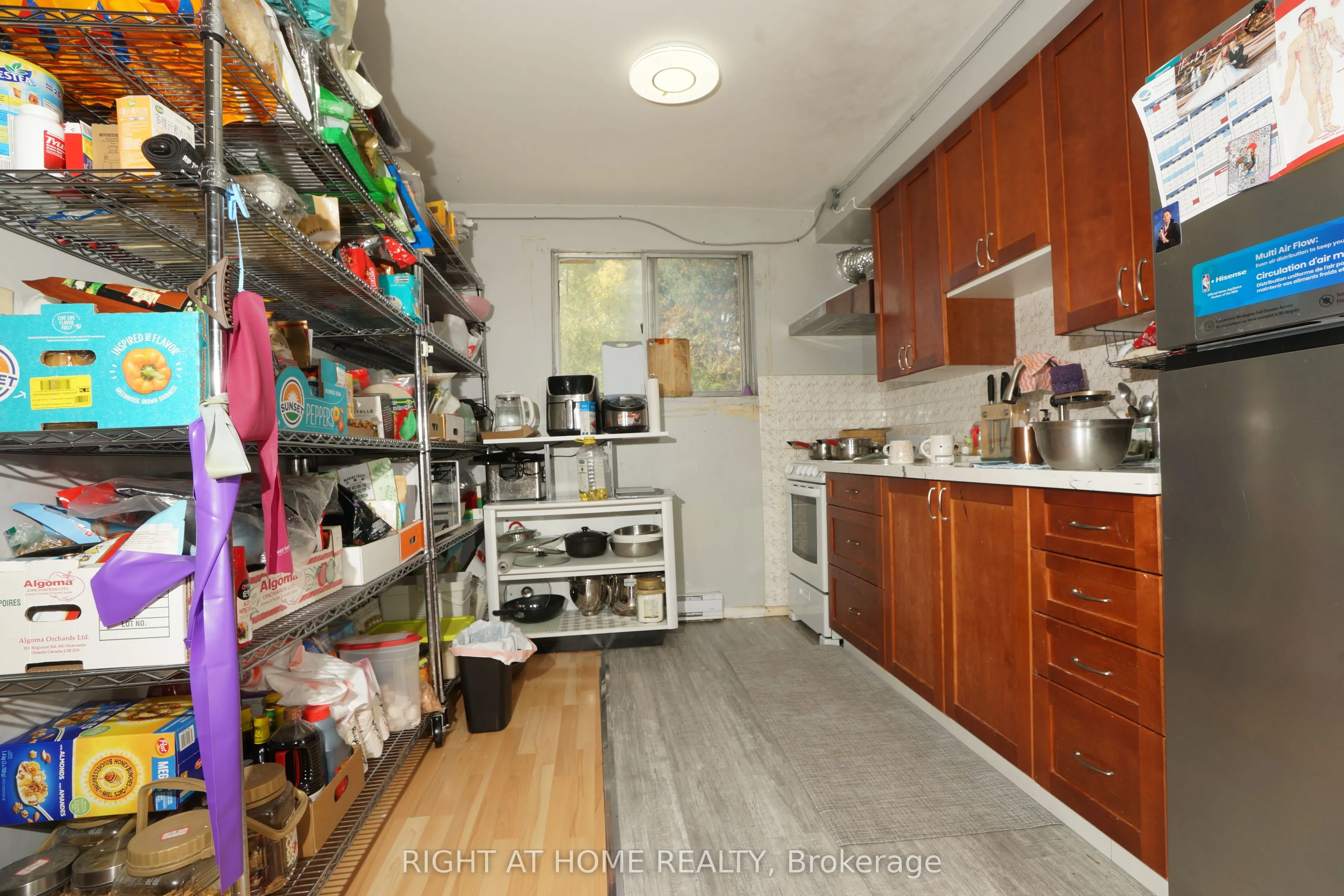 59 Saunby Street N