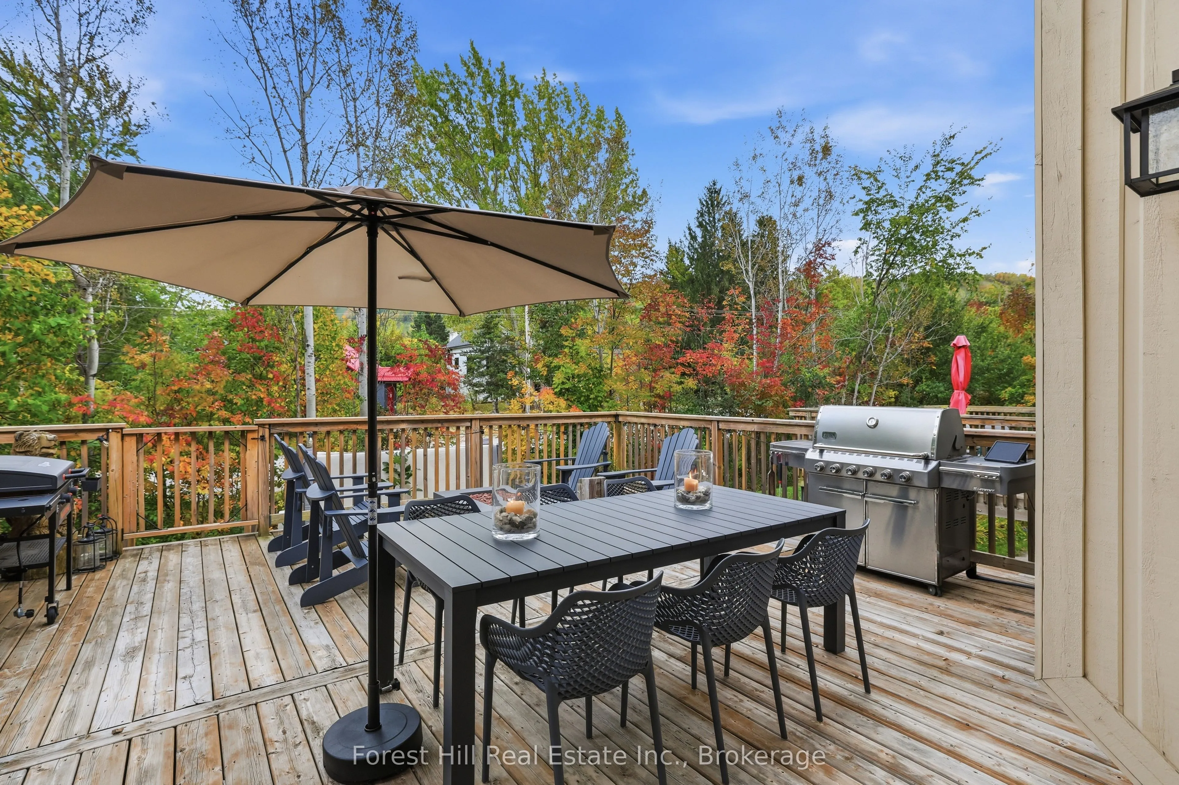 224 Blueski George Crescent #15