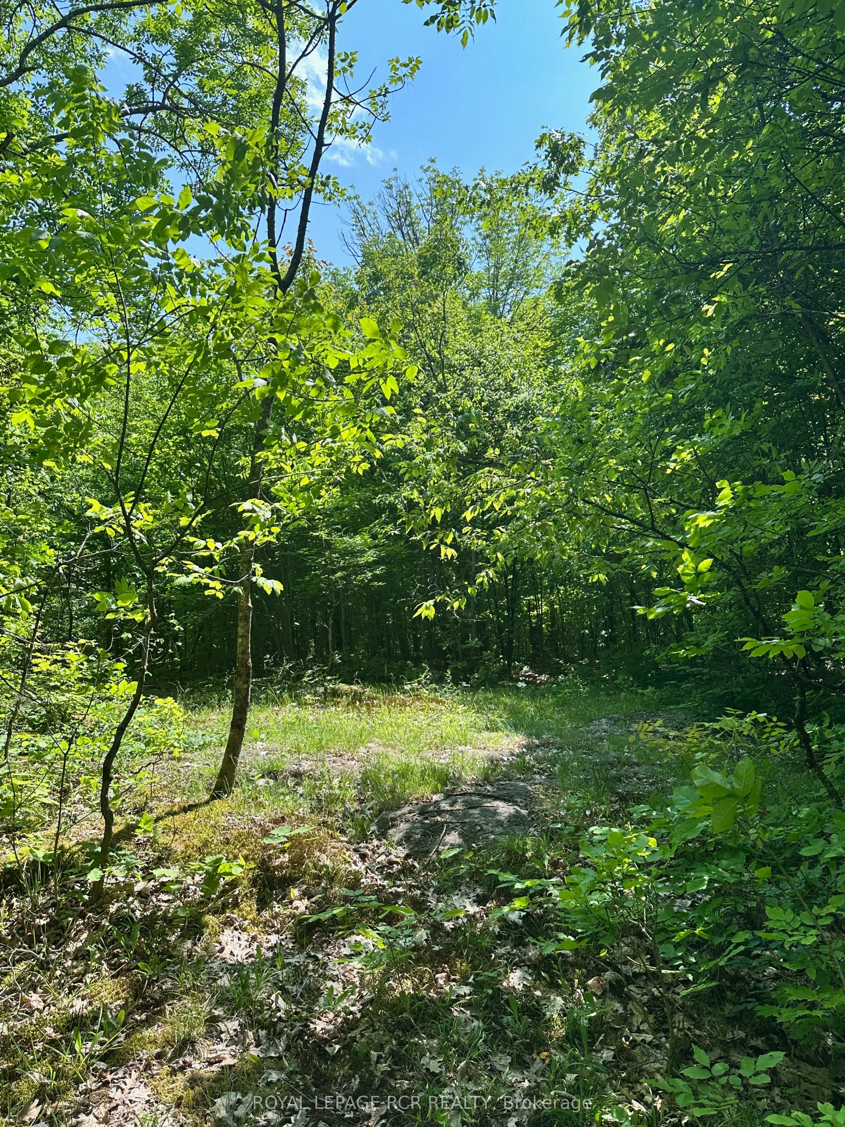 1527 Madill Road