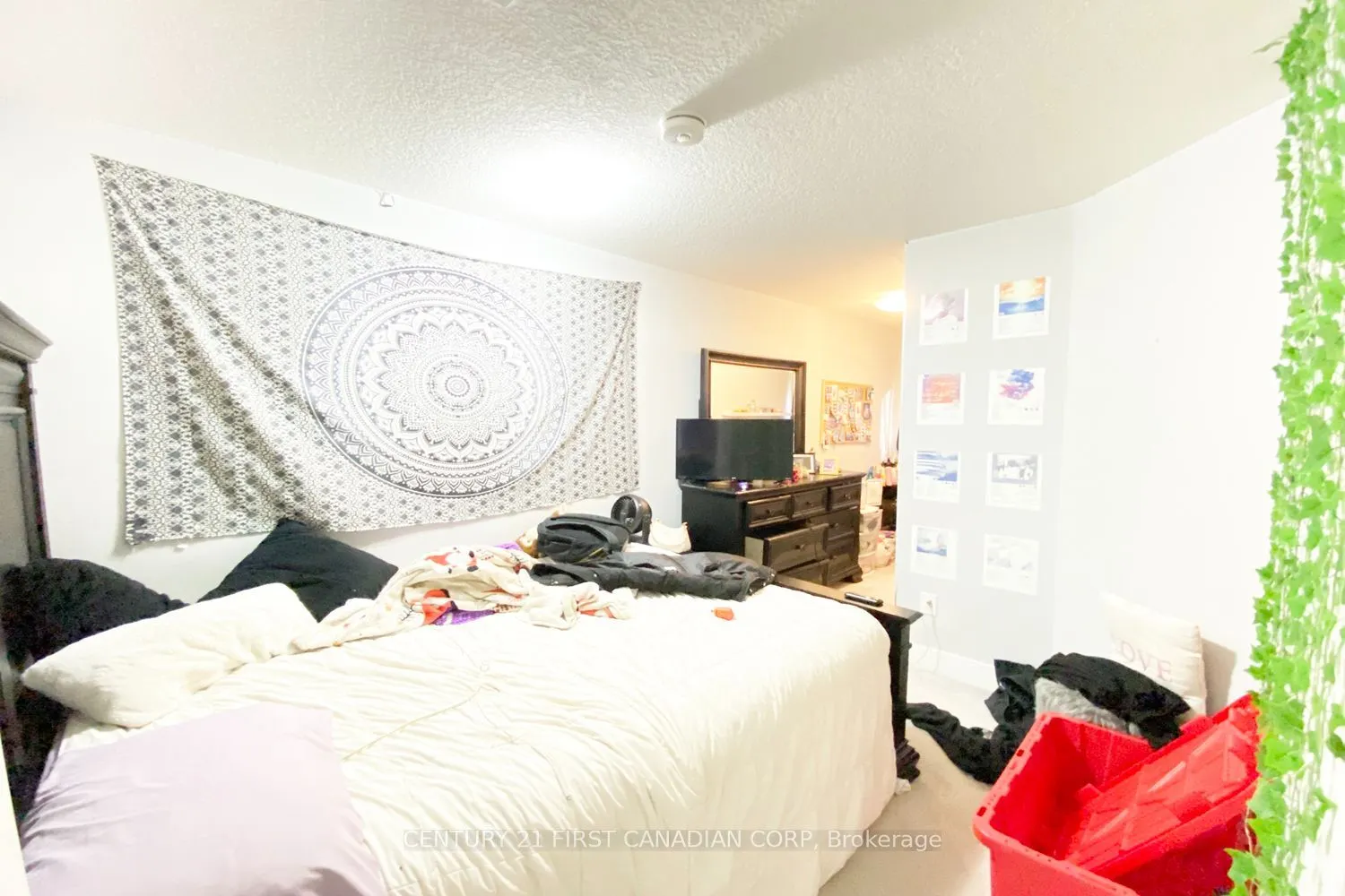 2070 Meadowgate Boulevard #100
